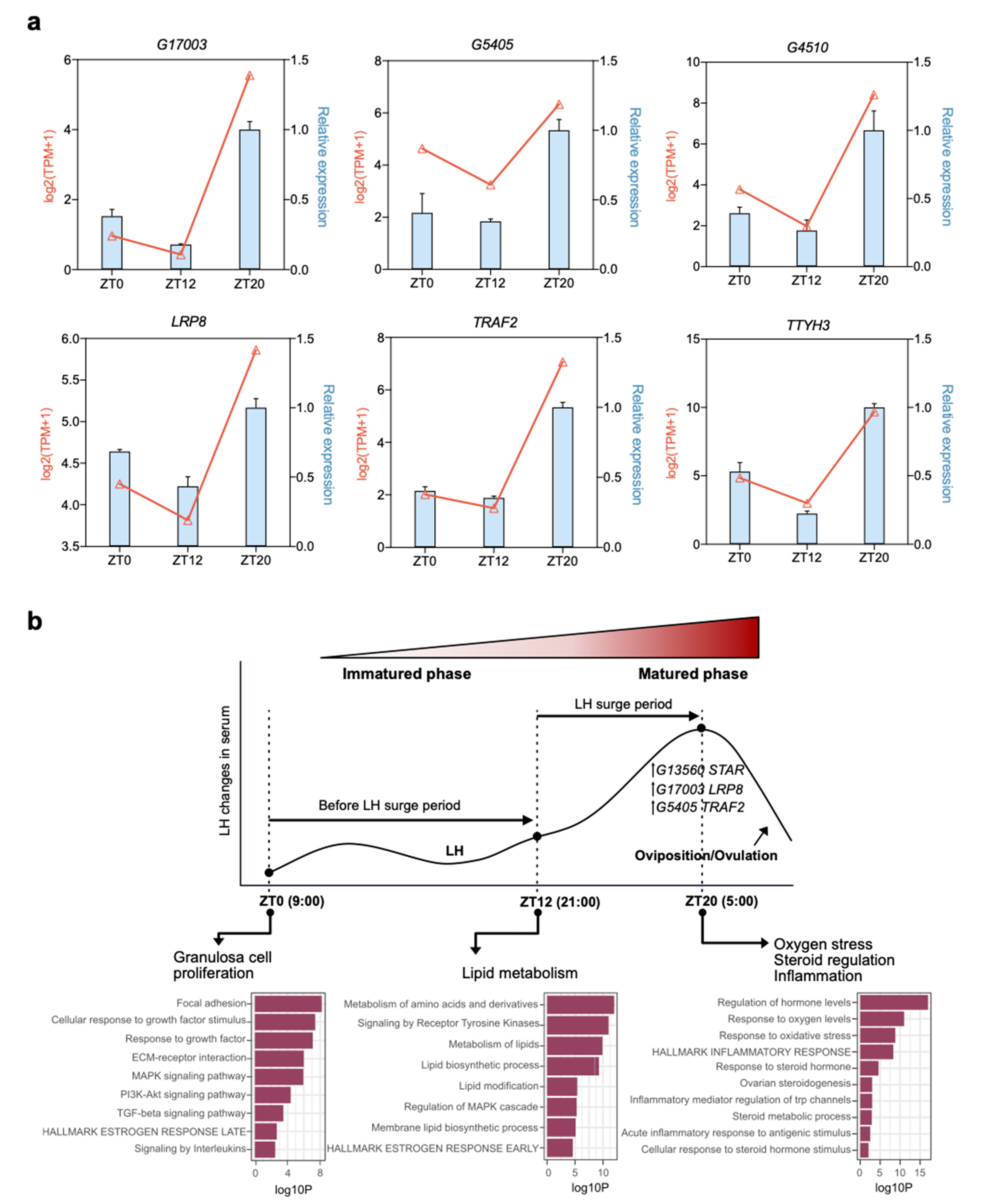 Animals 11 01533 g007 Animals 11 01533 g007