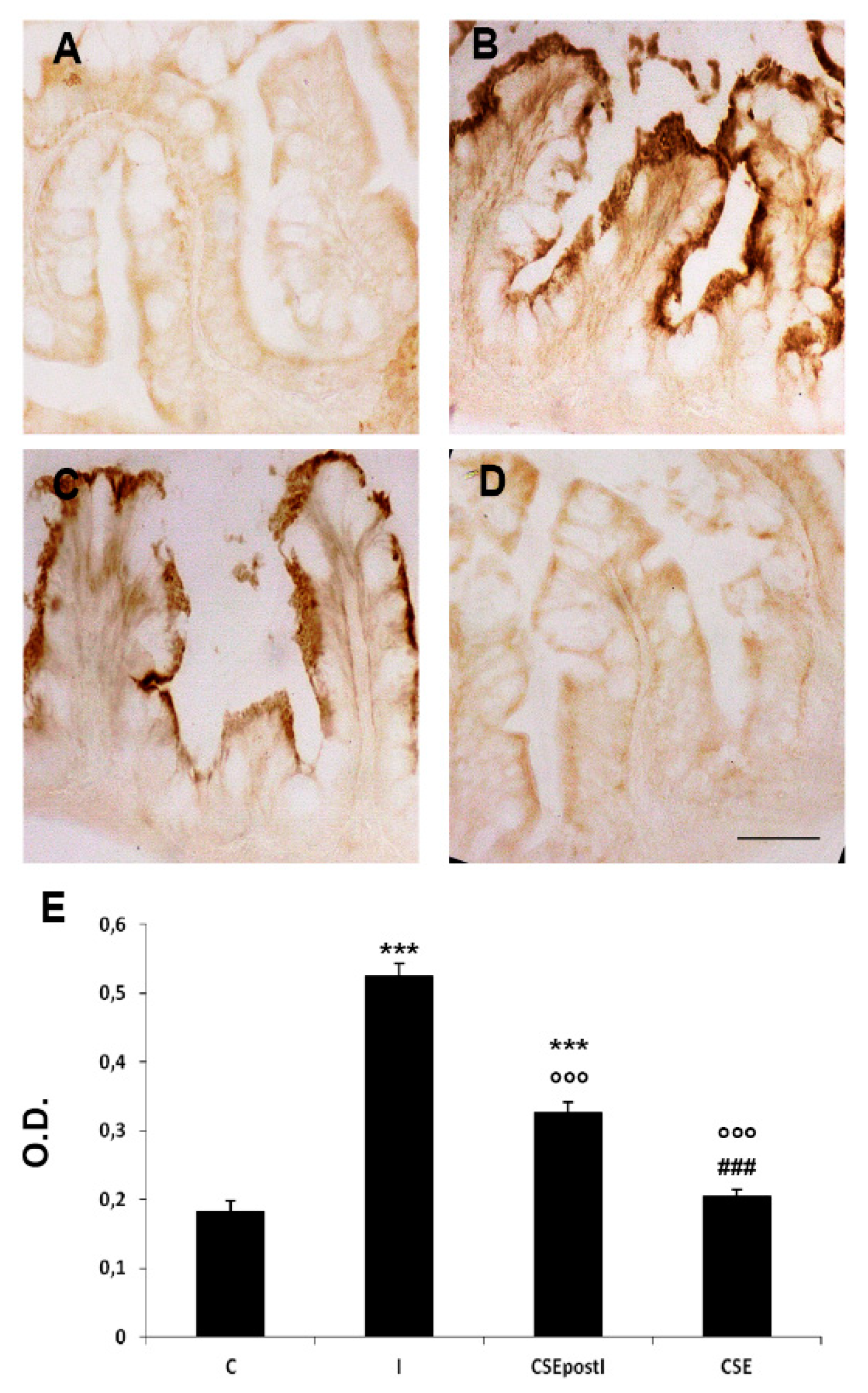Animals 11 01538 g003