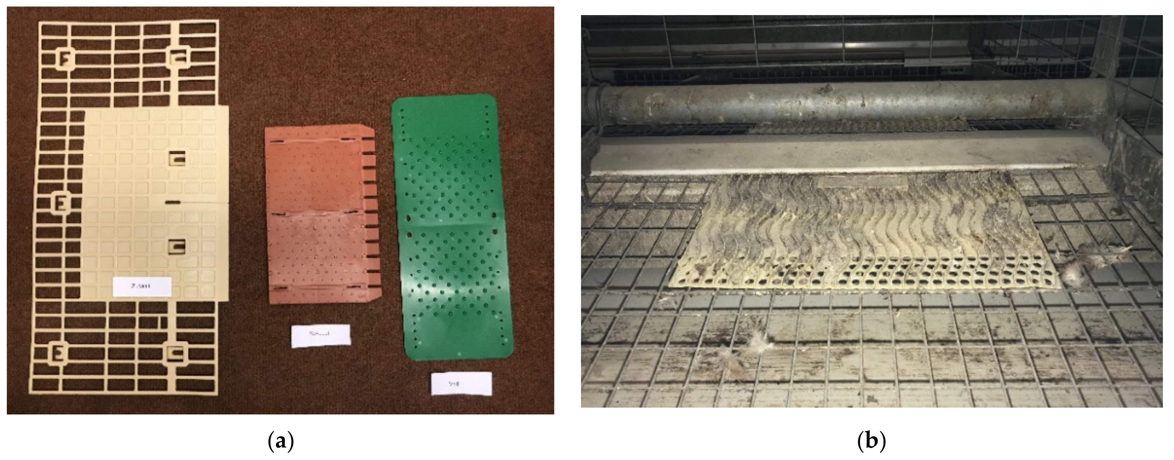 Animals 11 01544 g003