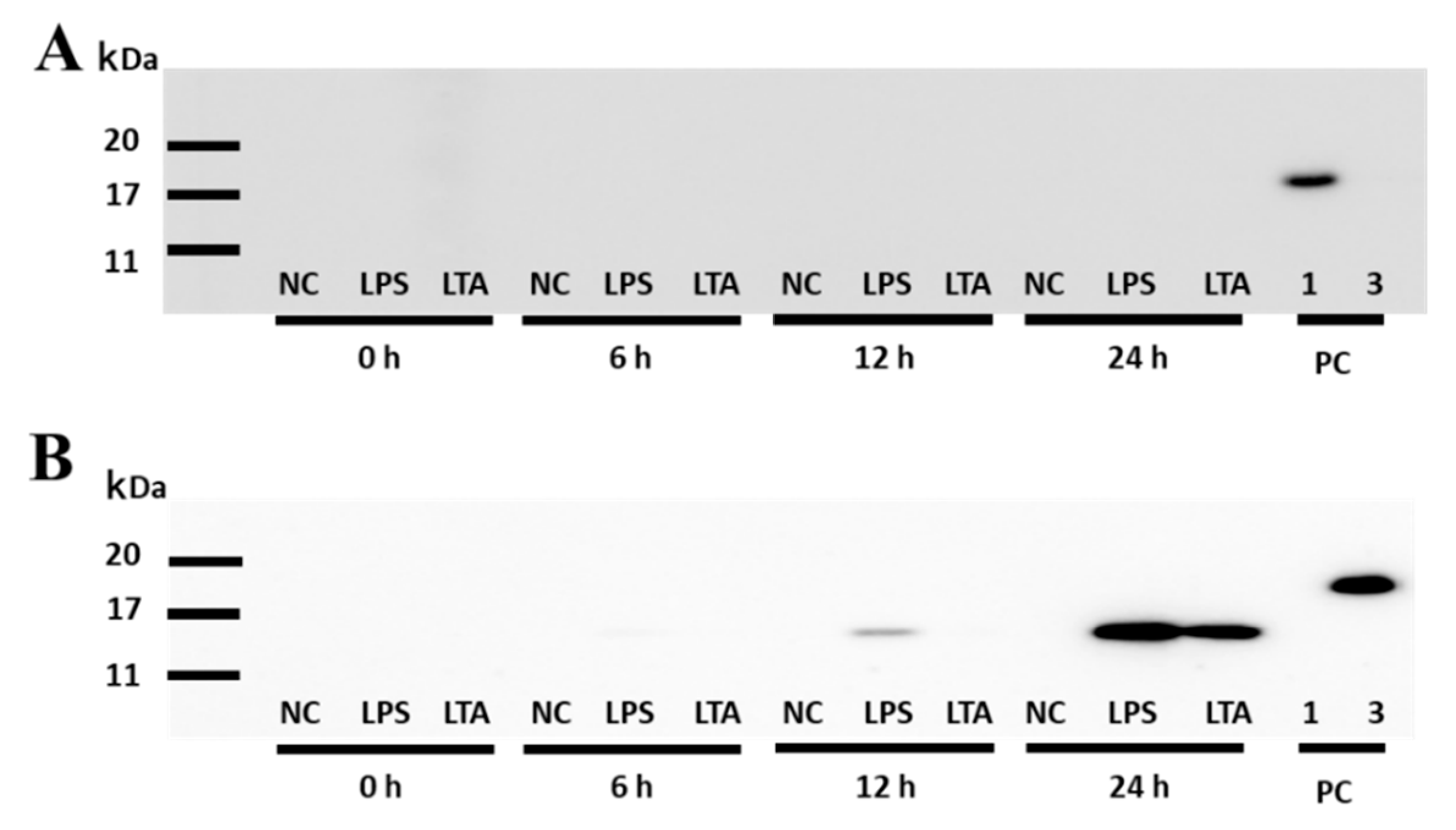 Animals 11 01548 g004 Animals 11 01548 g004