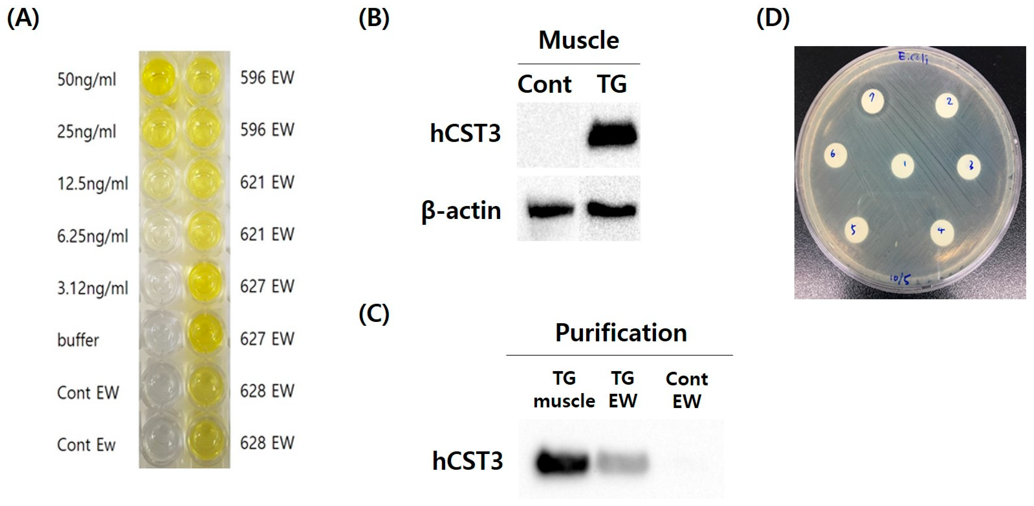 Animals 11 01554 g004