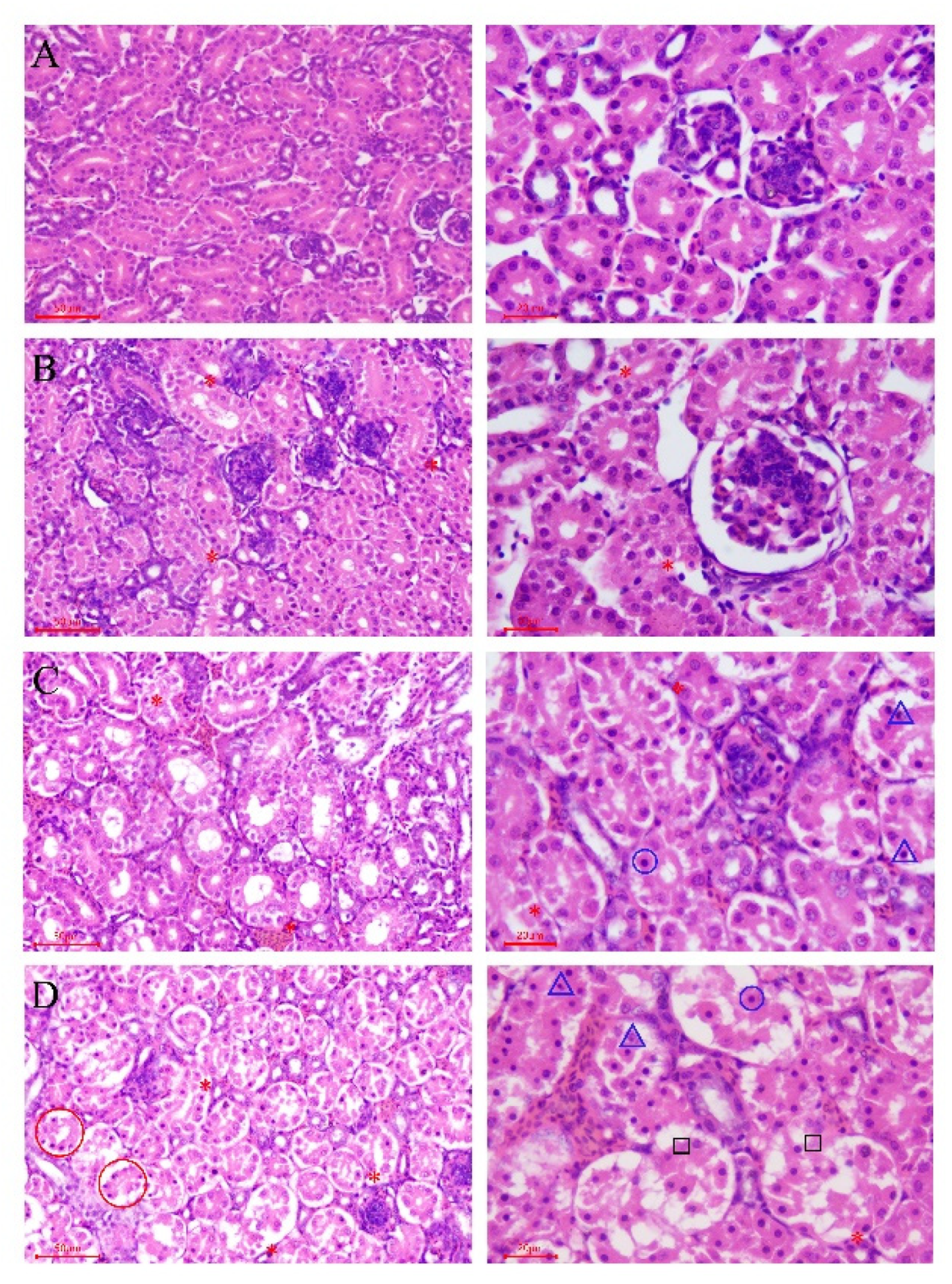 Animals 11 01556 g005