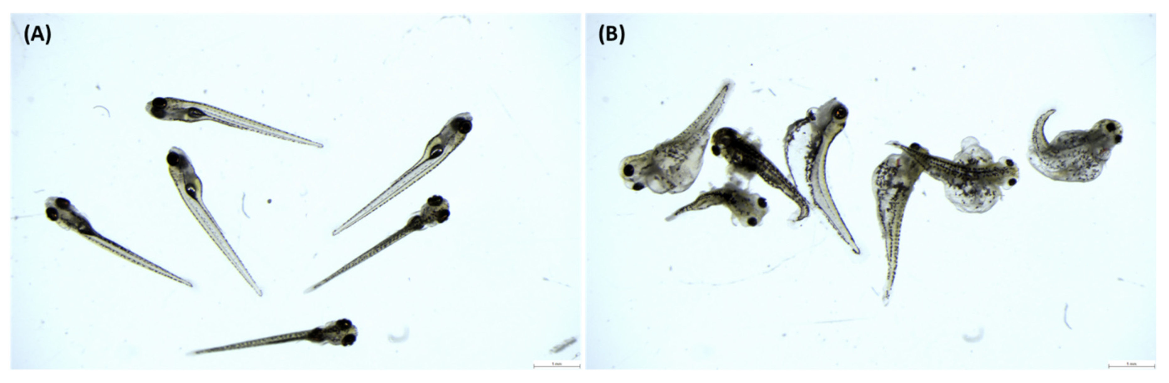 Animals 11 01558 g001 Animals 11 01558 g001