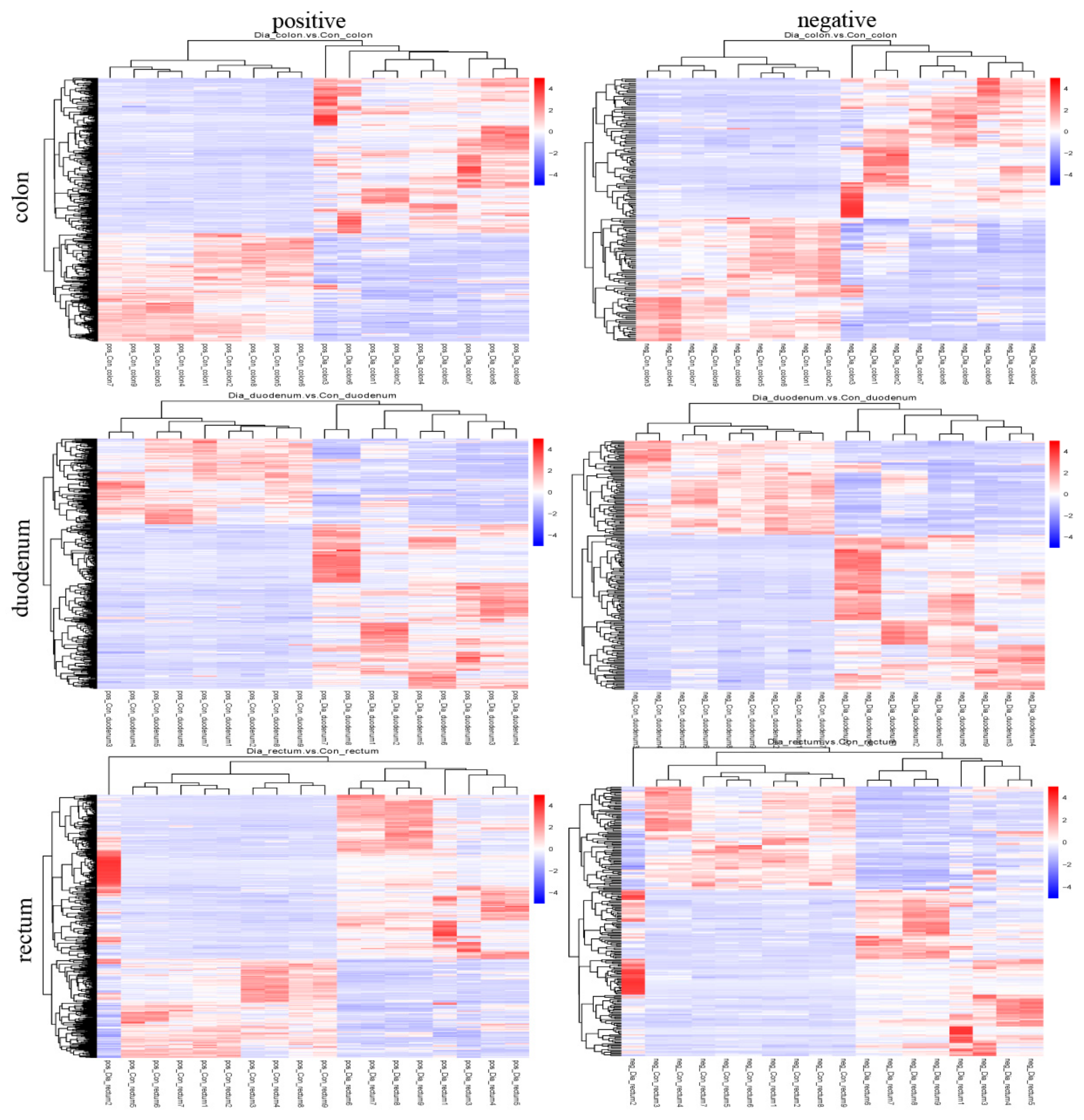 Animals 11 01560 g004 Animals 11 01560 g004