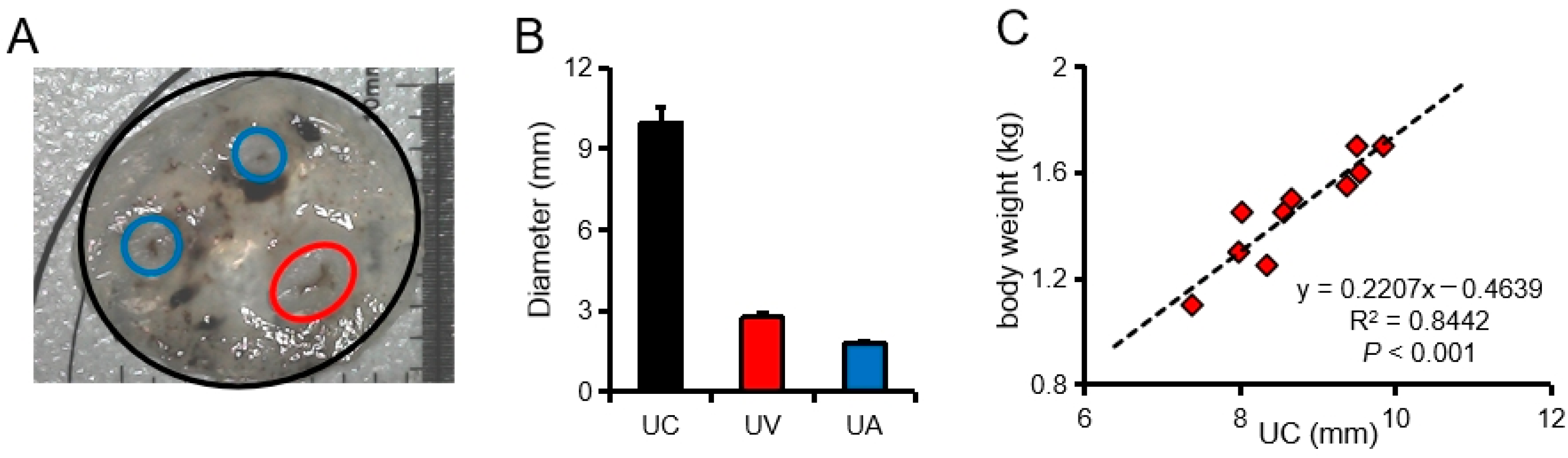Animals 11 01563 g001 Animals 11 01563 g001