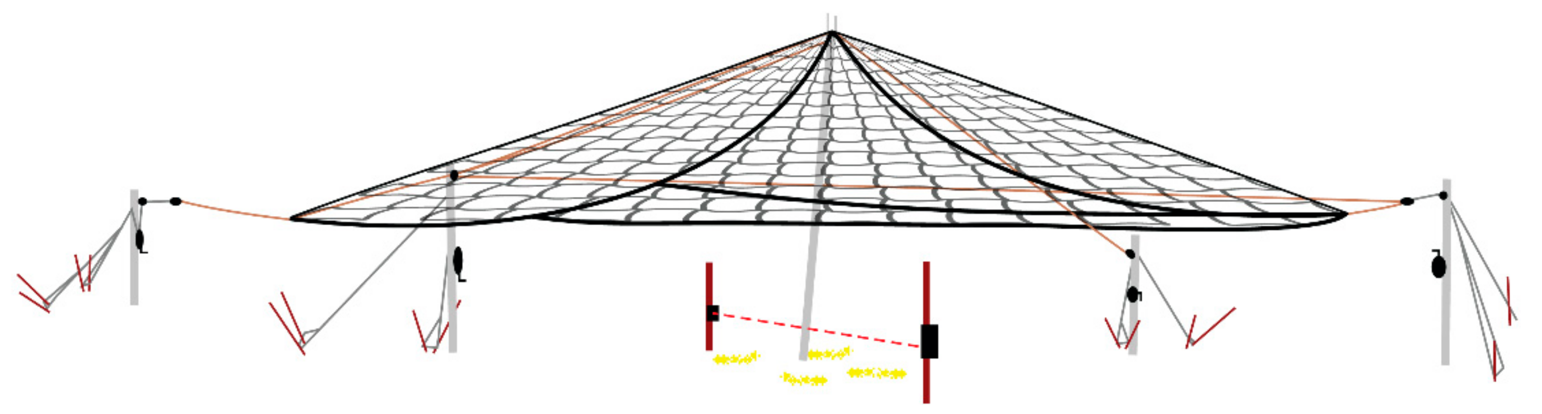 Animals 11 01565 g004 Animals 11 01565 g004