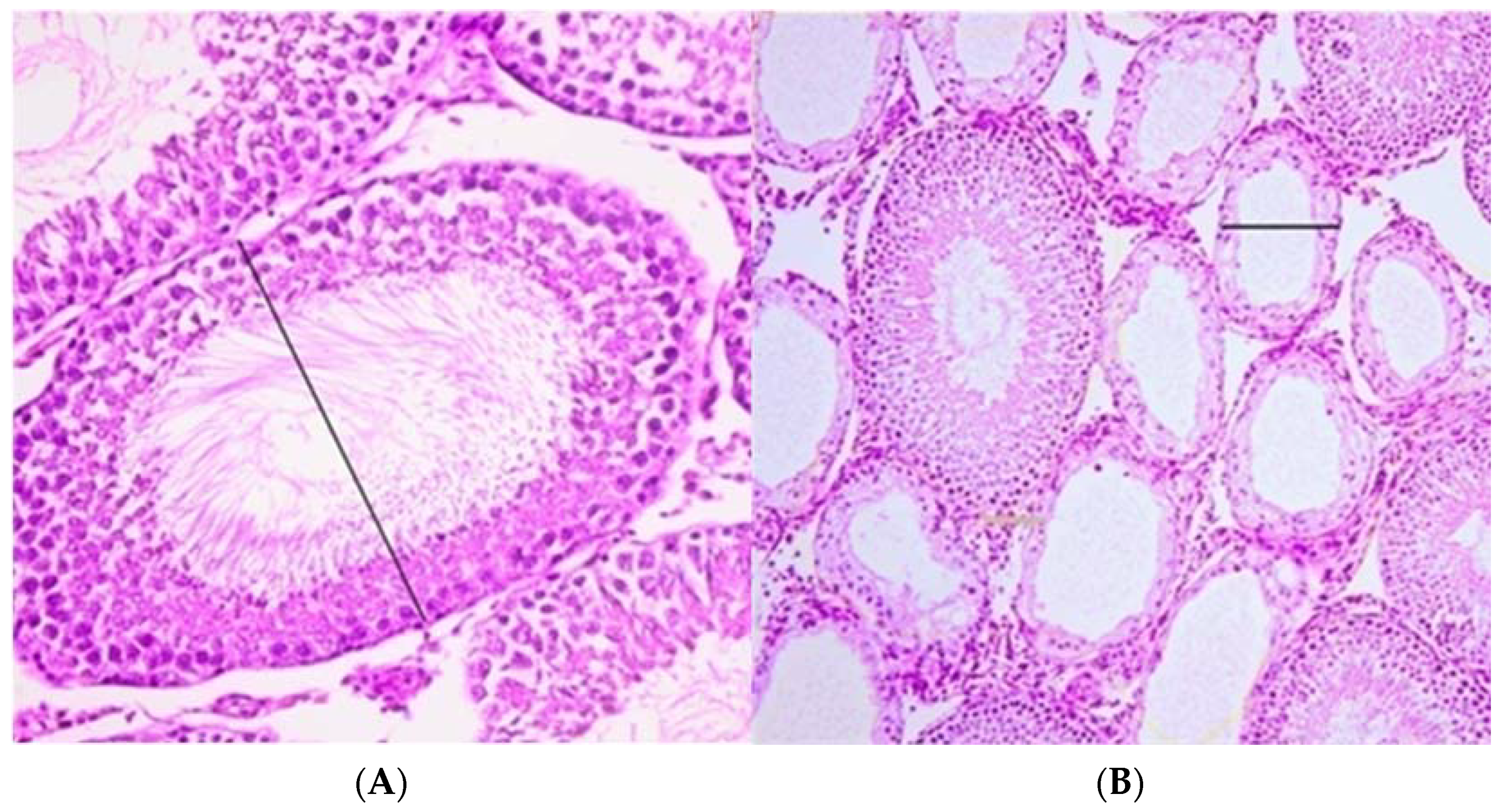 Animals 11 01569 g002 Animals 11 01569 g002