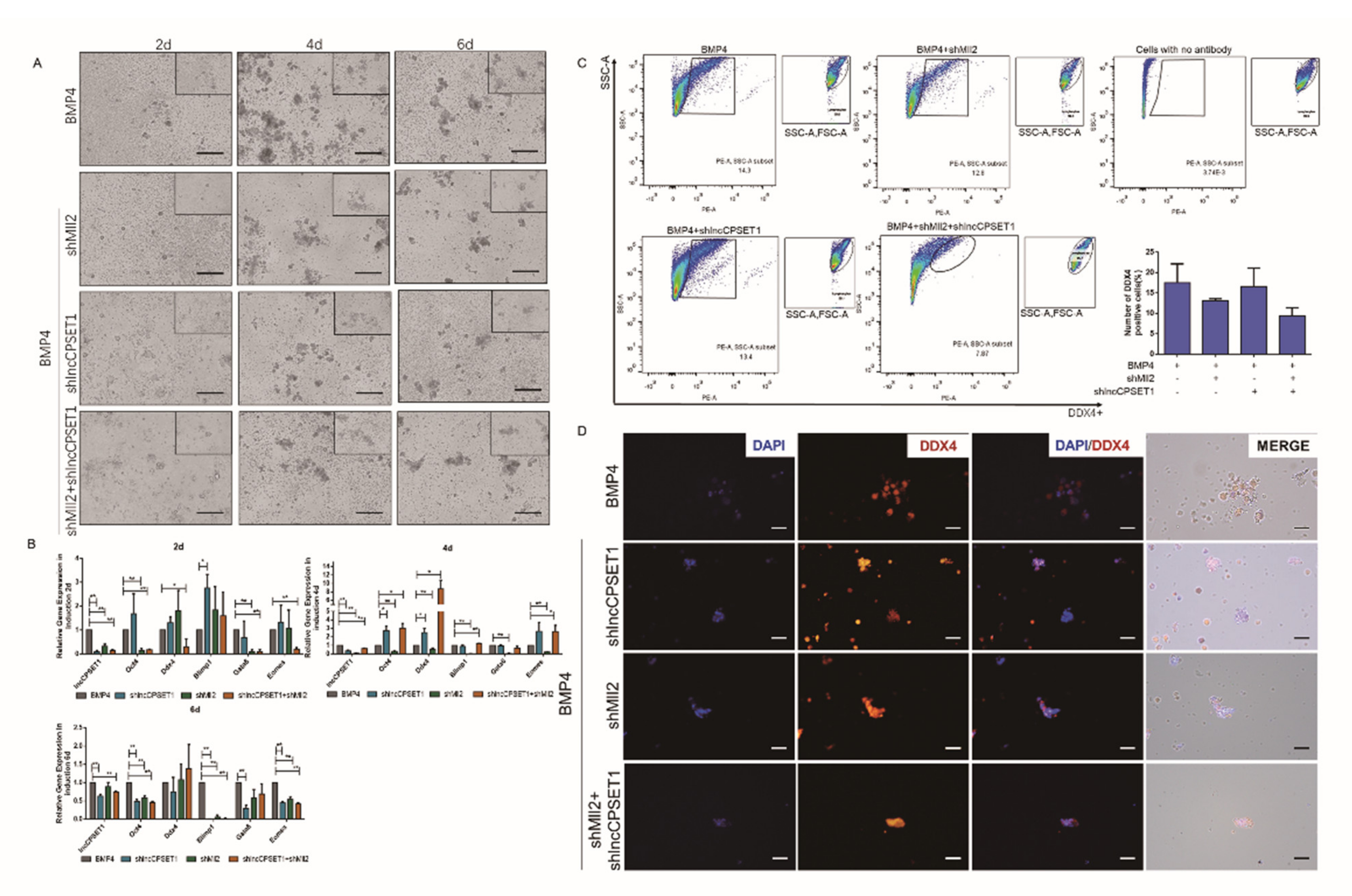 Animals 11 01572 g002
