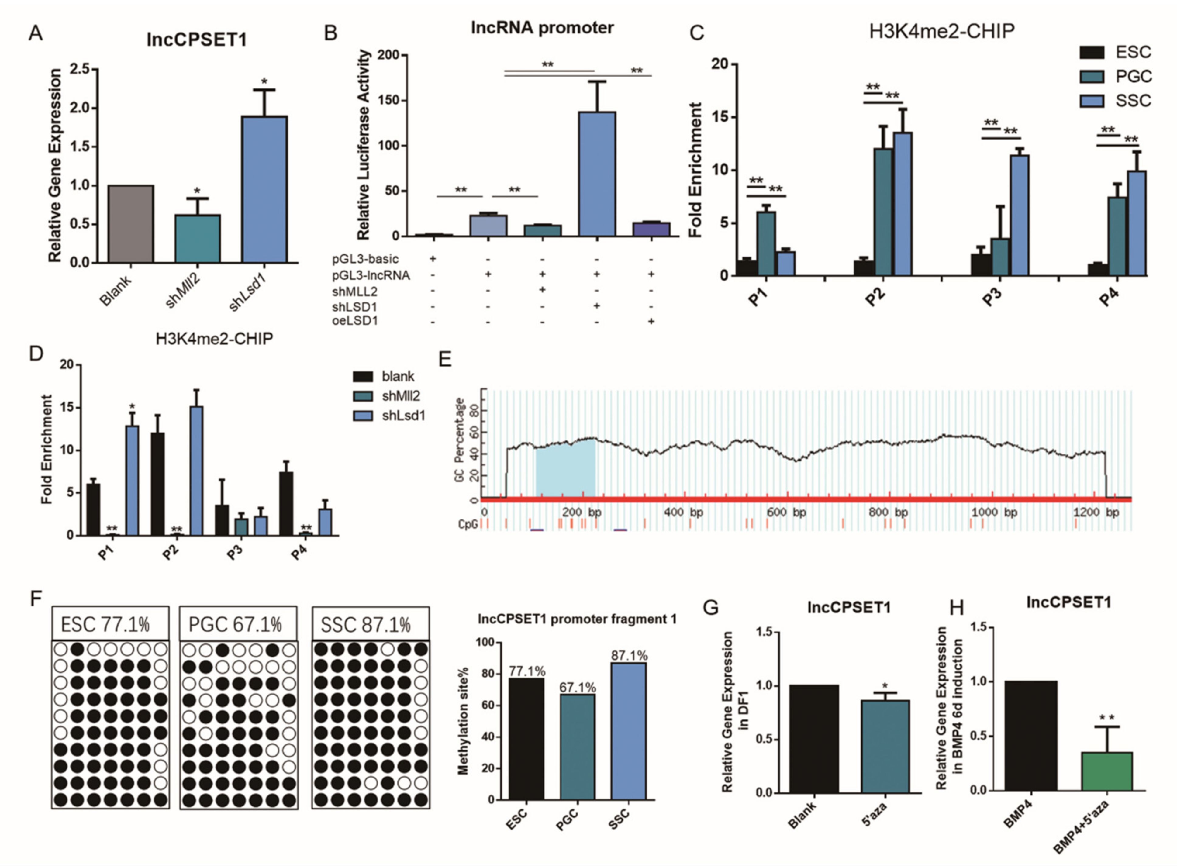 Animals 11 01572 g003