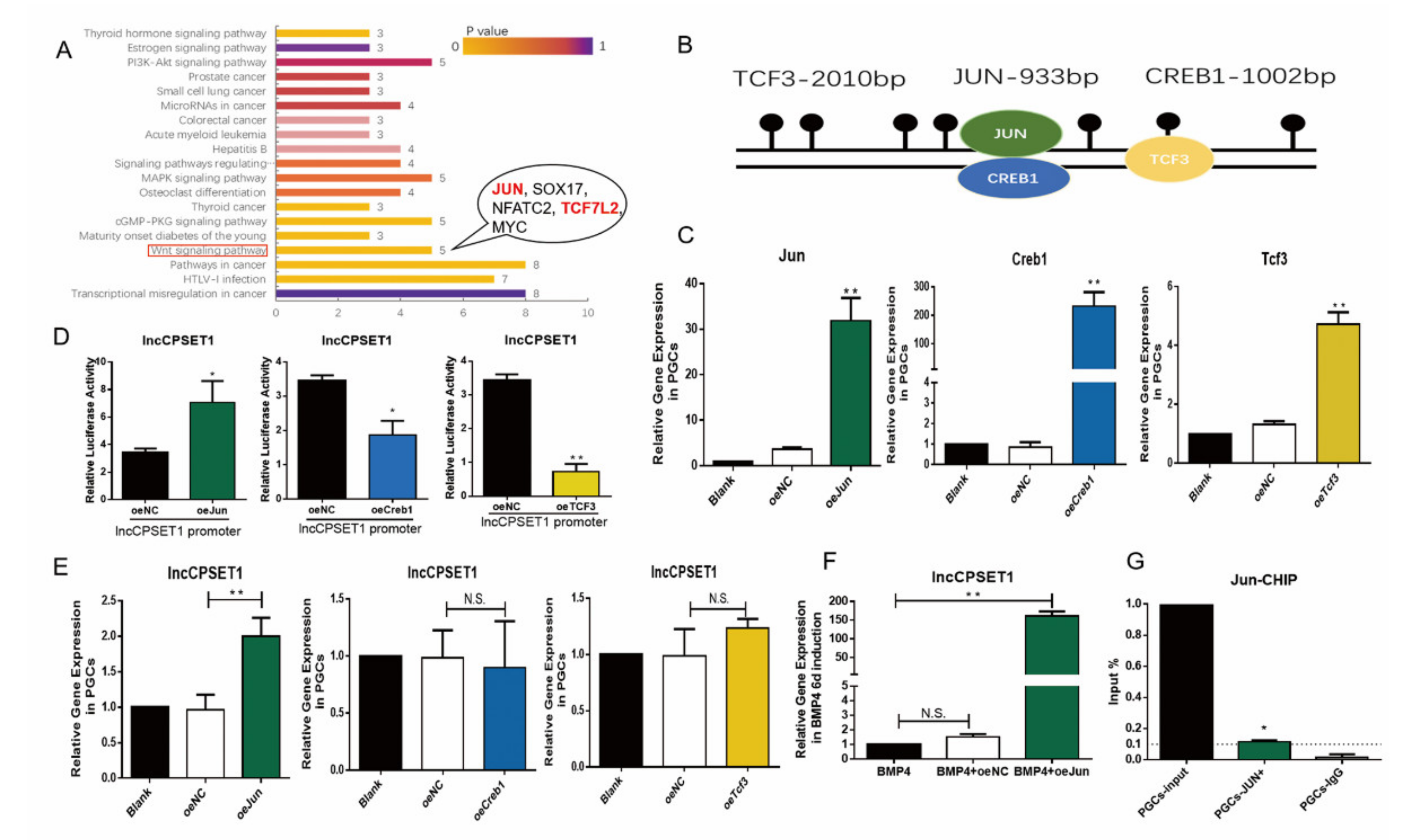 Animals 11 01572 g004