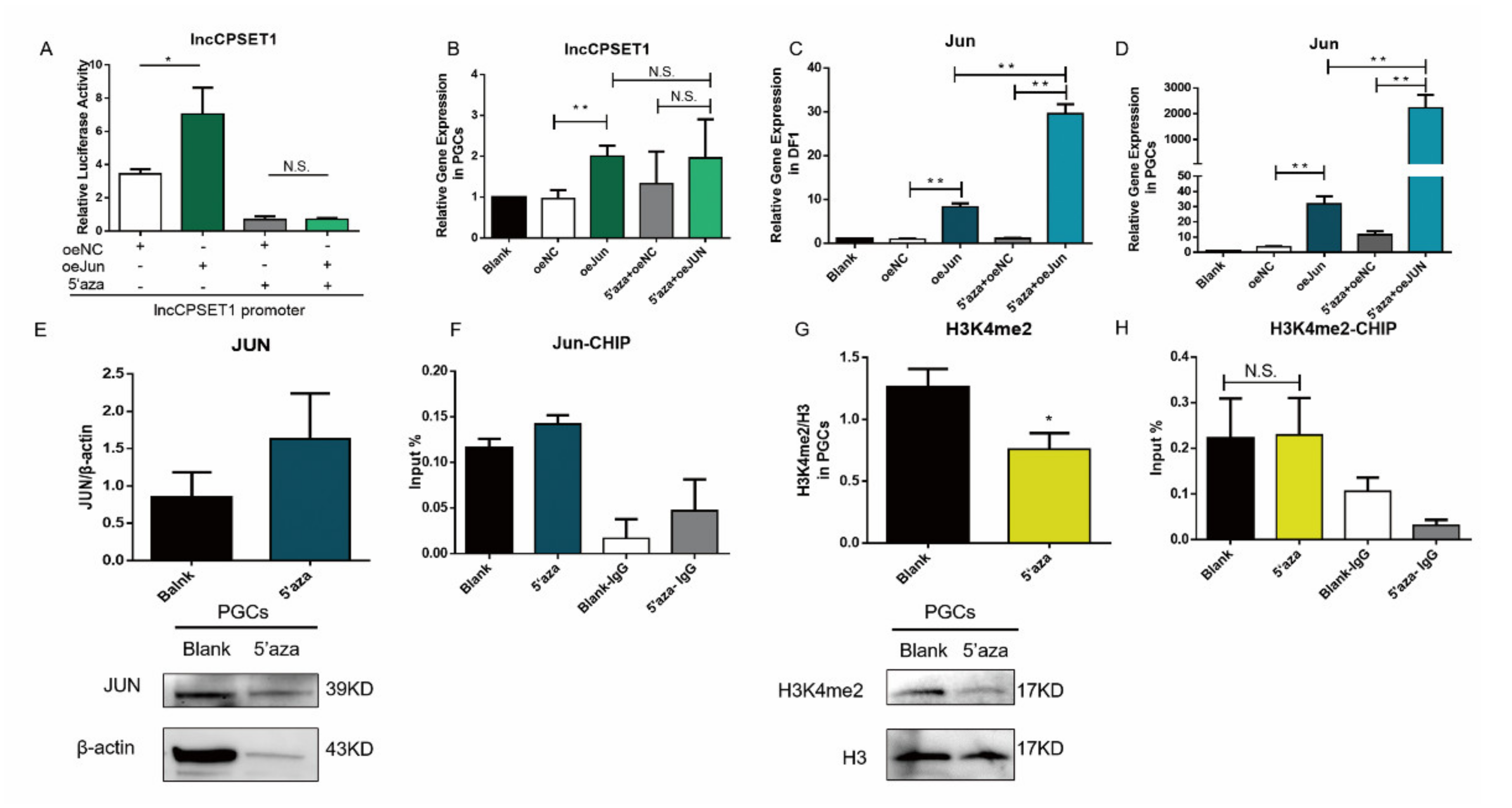 Animals 11 01572 g006