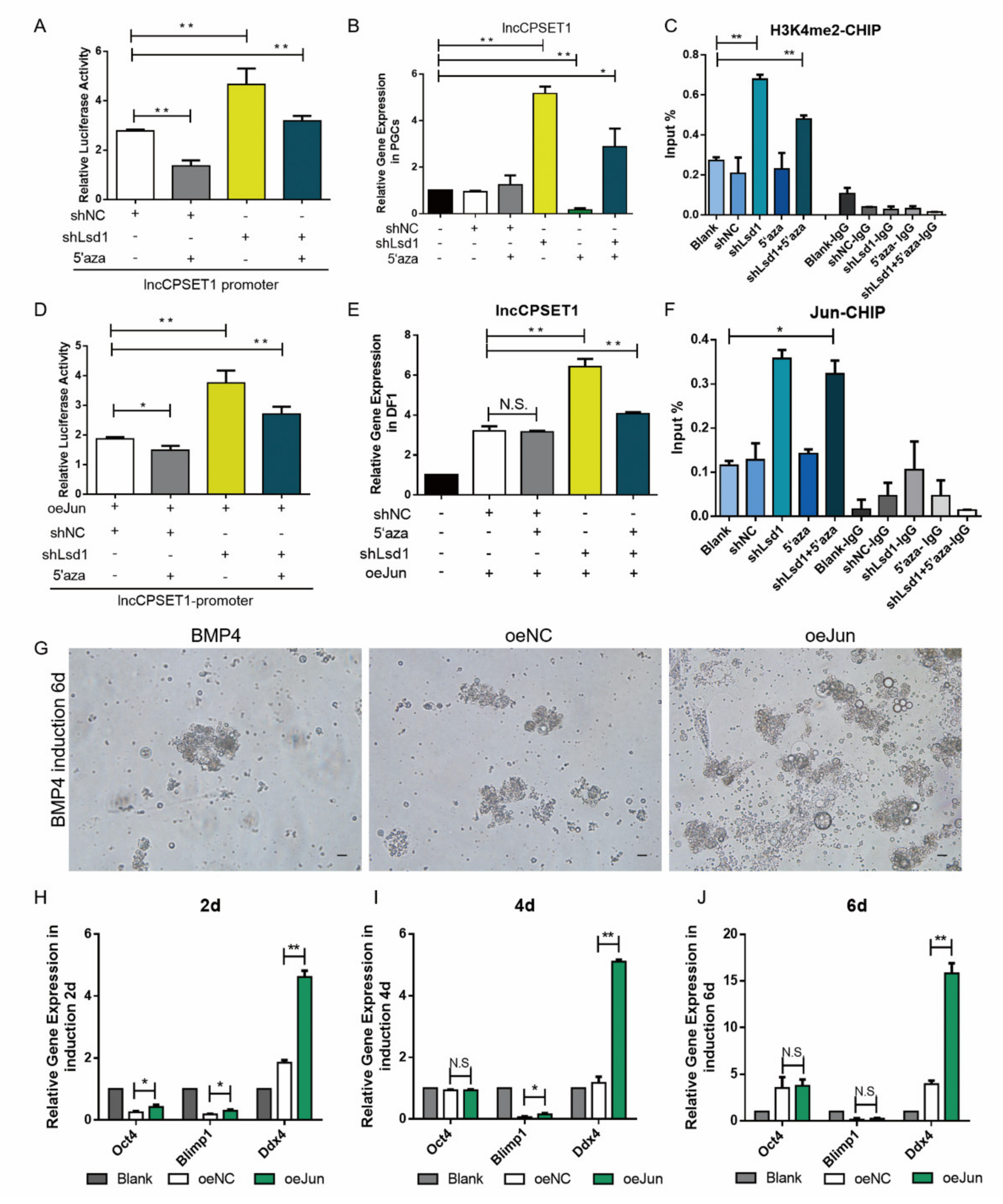 Animals 11 01572 g007