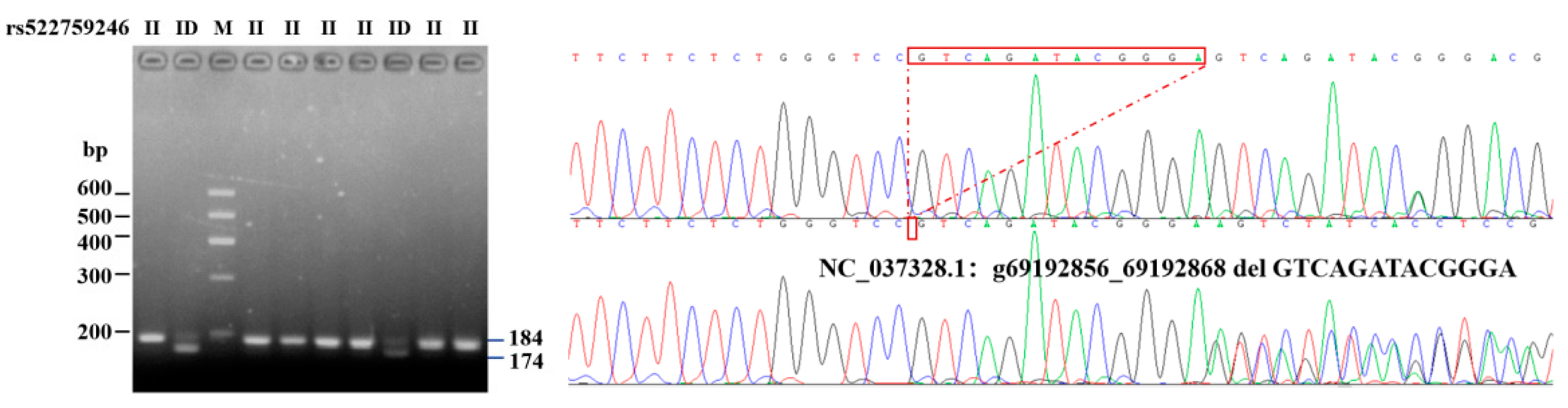 Animals 11 01579 g001