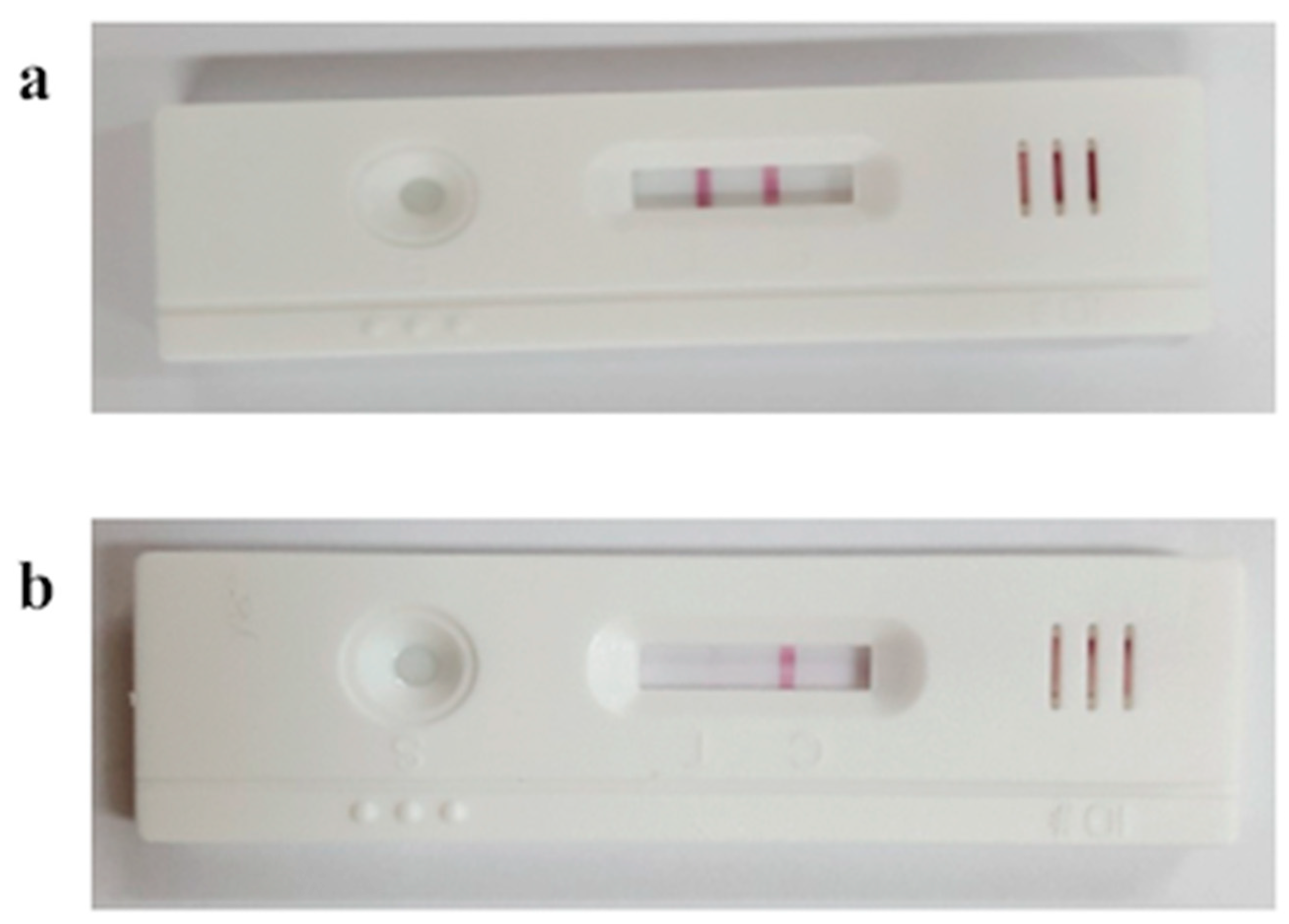 Animals 11 01582 g004