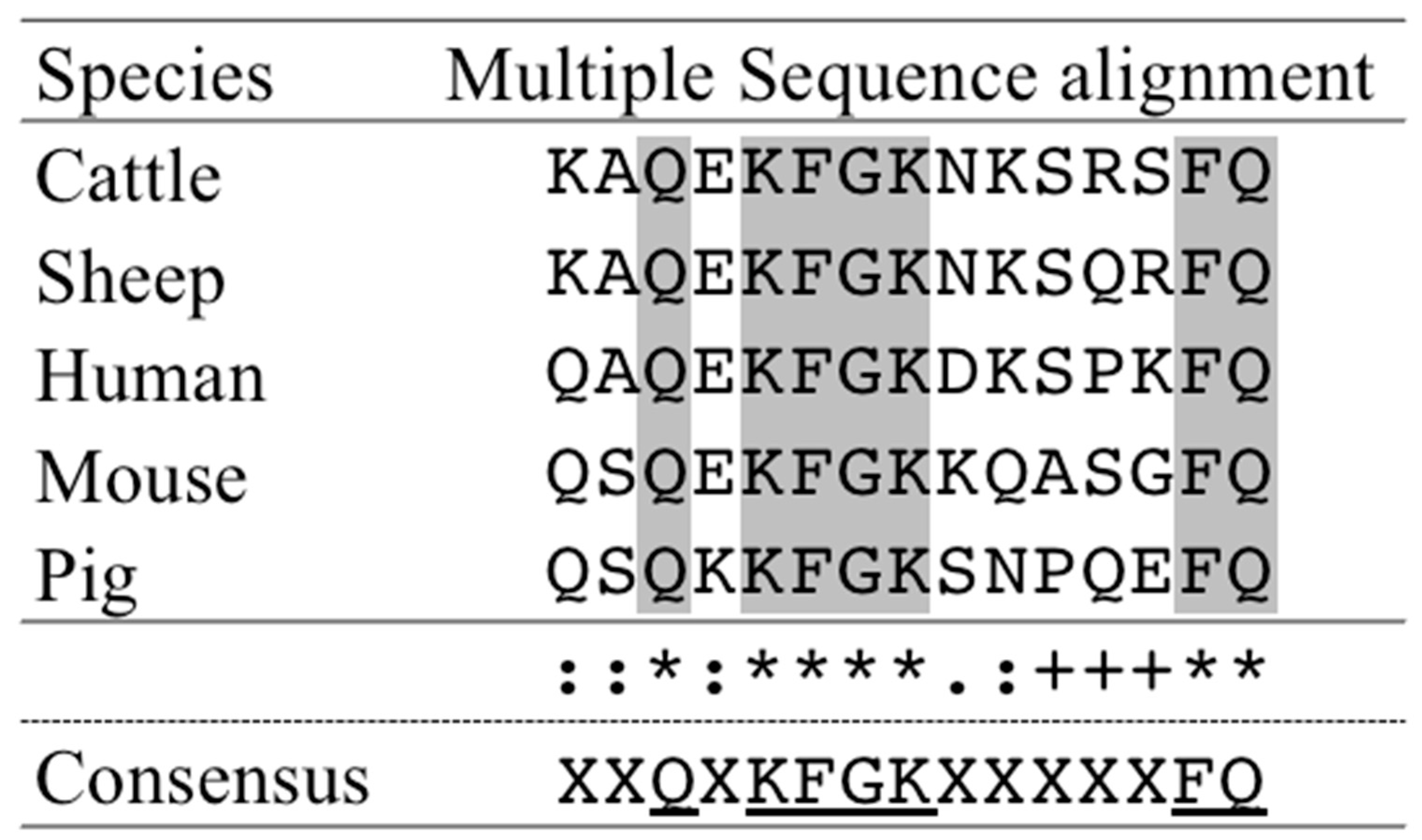 Animals 11 01582 g005