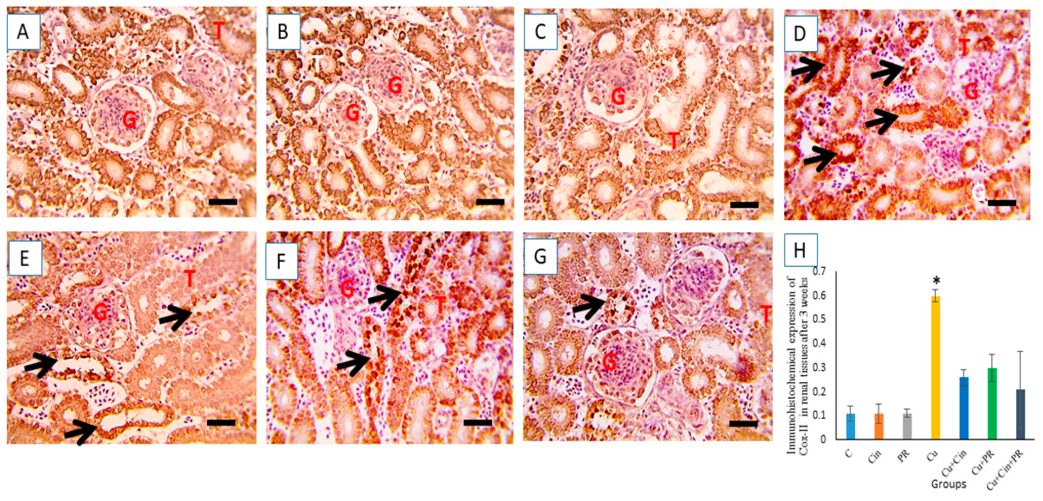 Animals 11 01609 g008 Animals 11 01609 g008