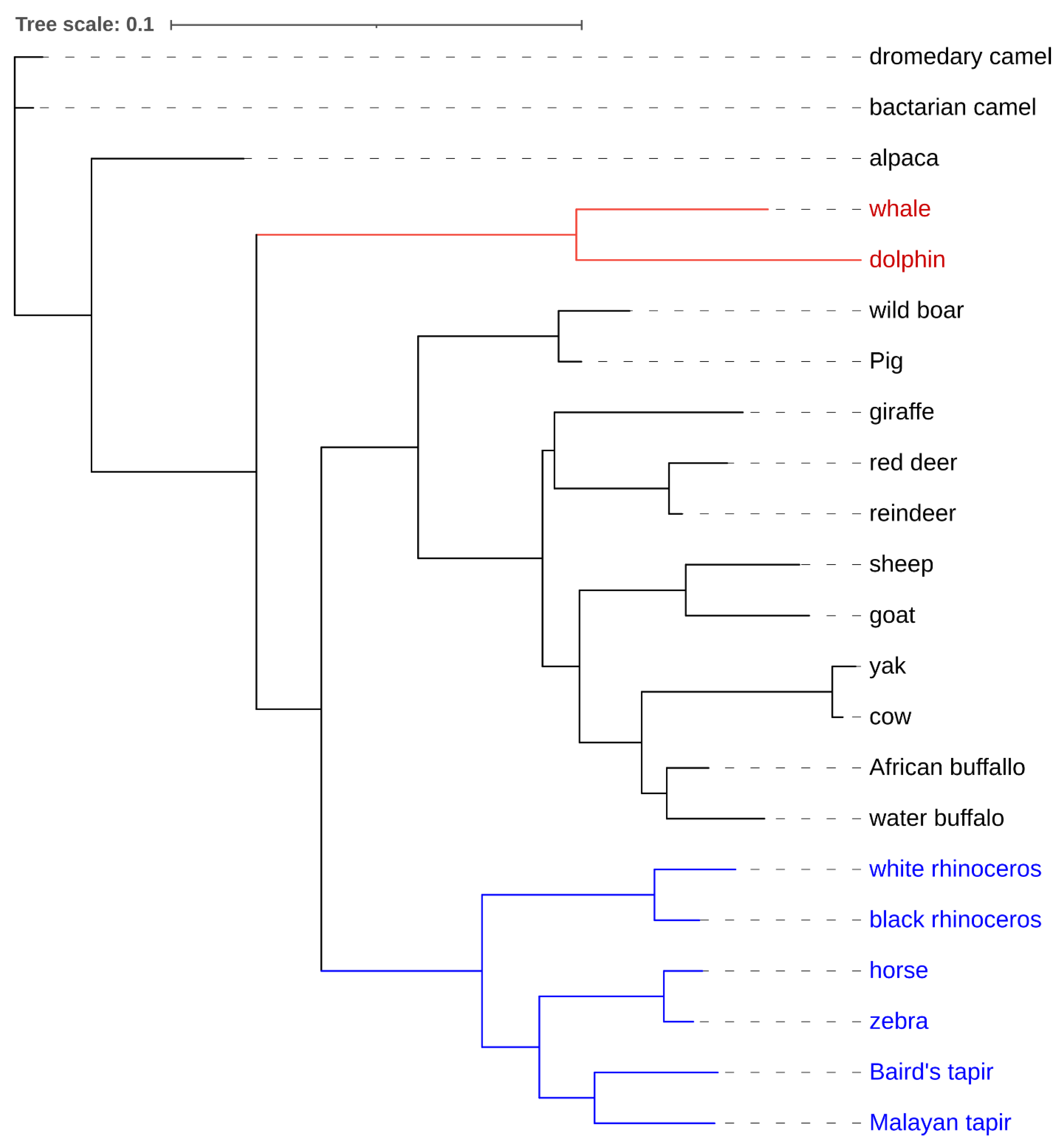 Animals 11 01617 g001 Animals 11 01617 g001