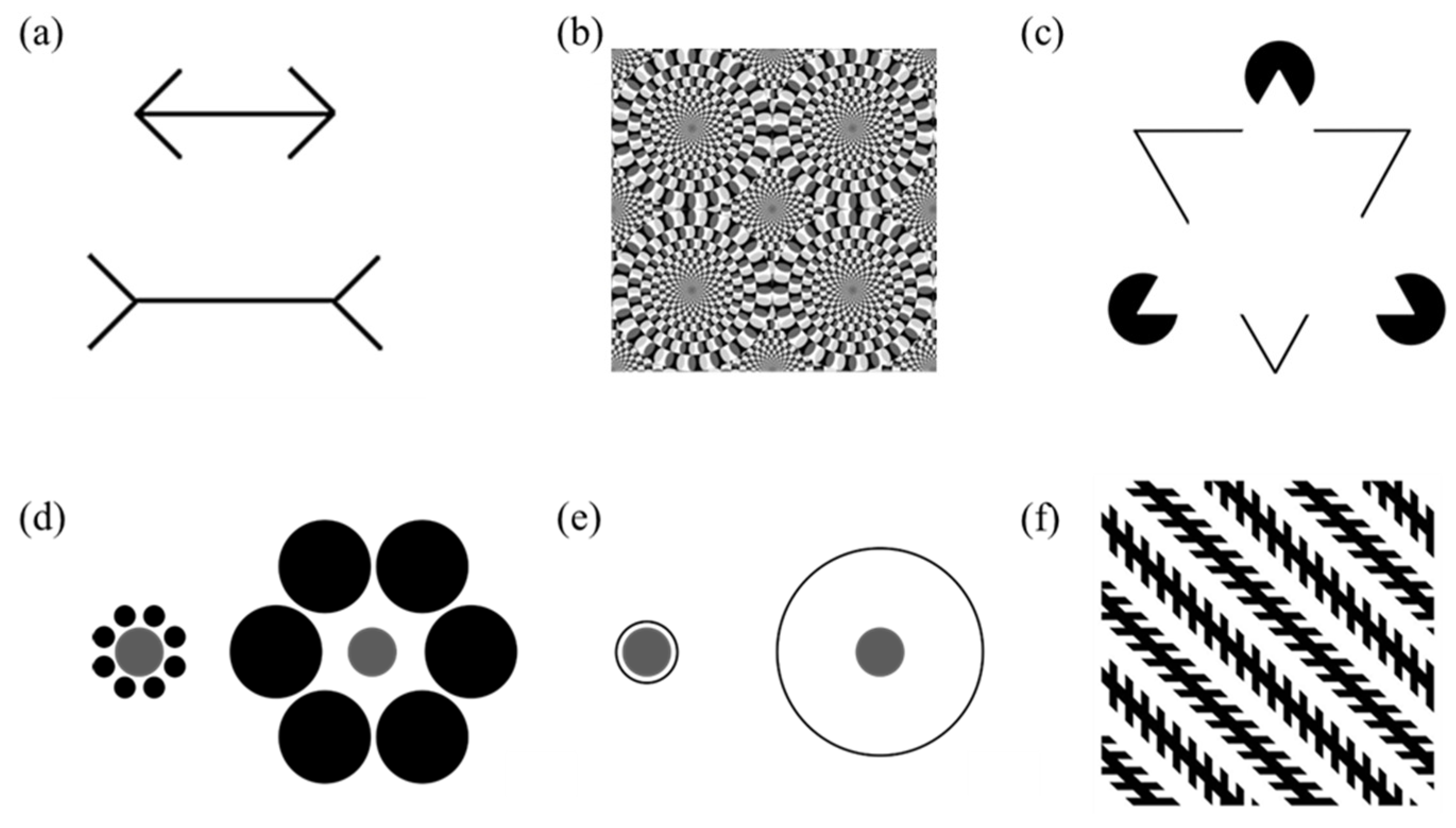 Animals 11 01618 g001