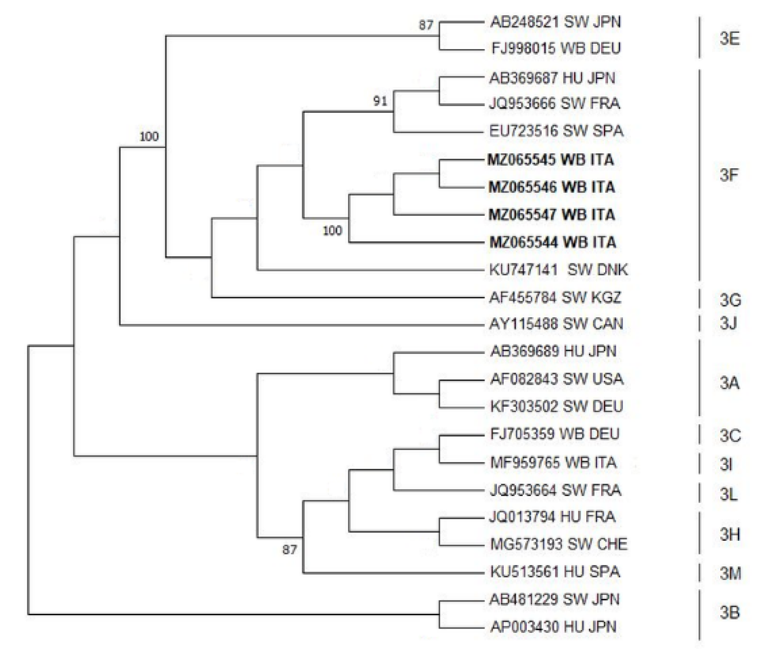 Animals 11 01624 g002 Animals 11 01624 g002