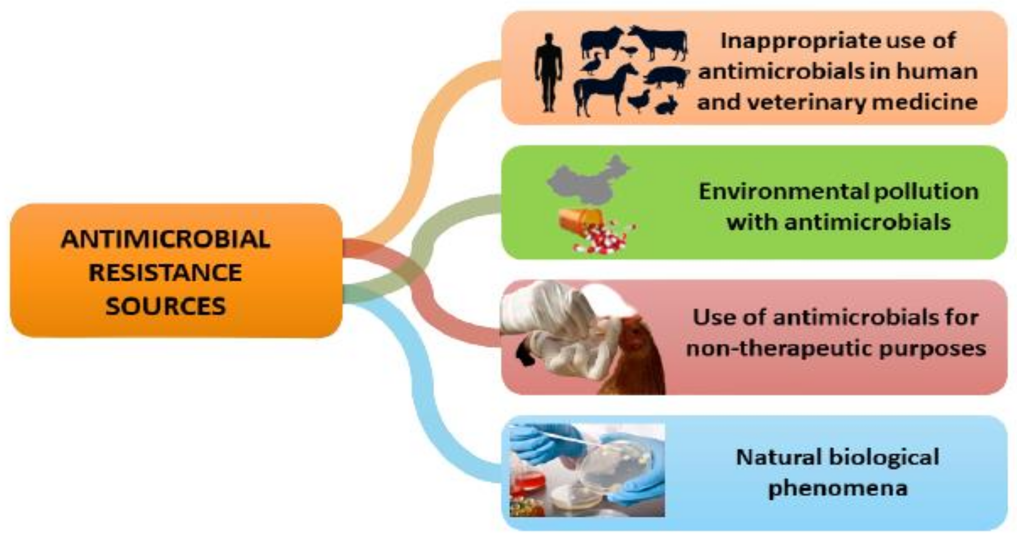 Animals 11 01625 g002