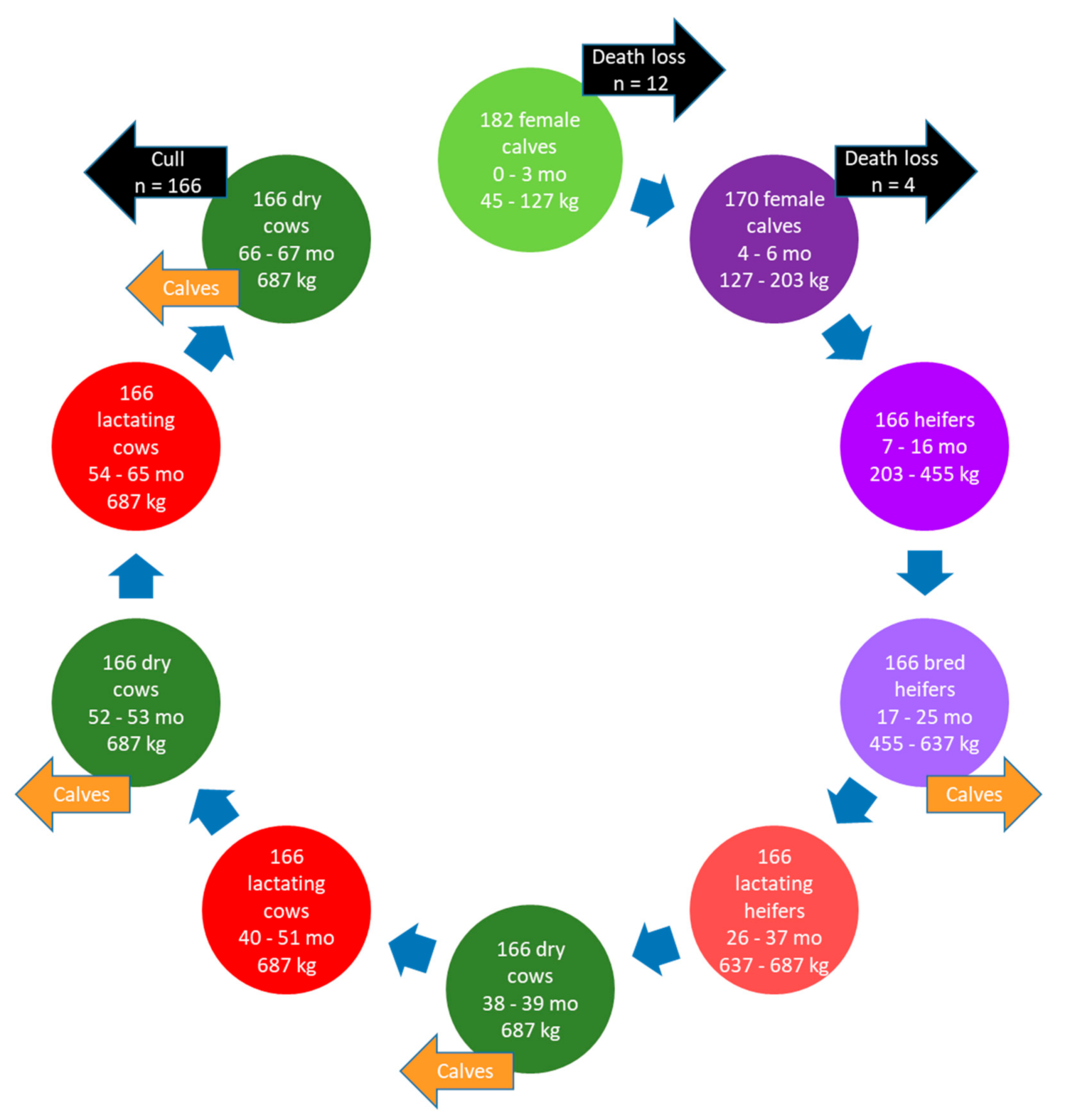 Animals 11 01636 g002