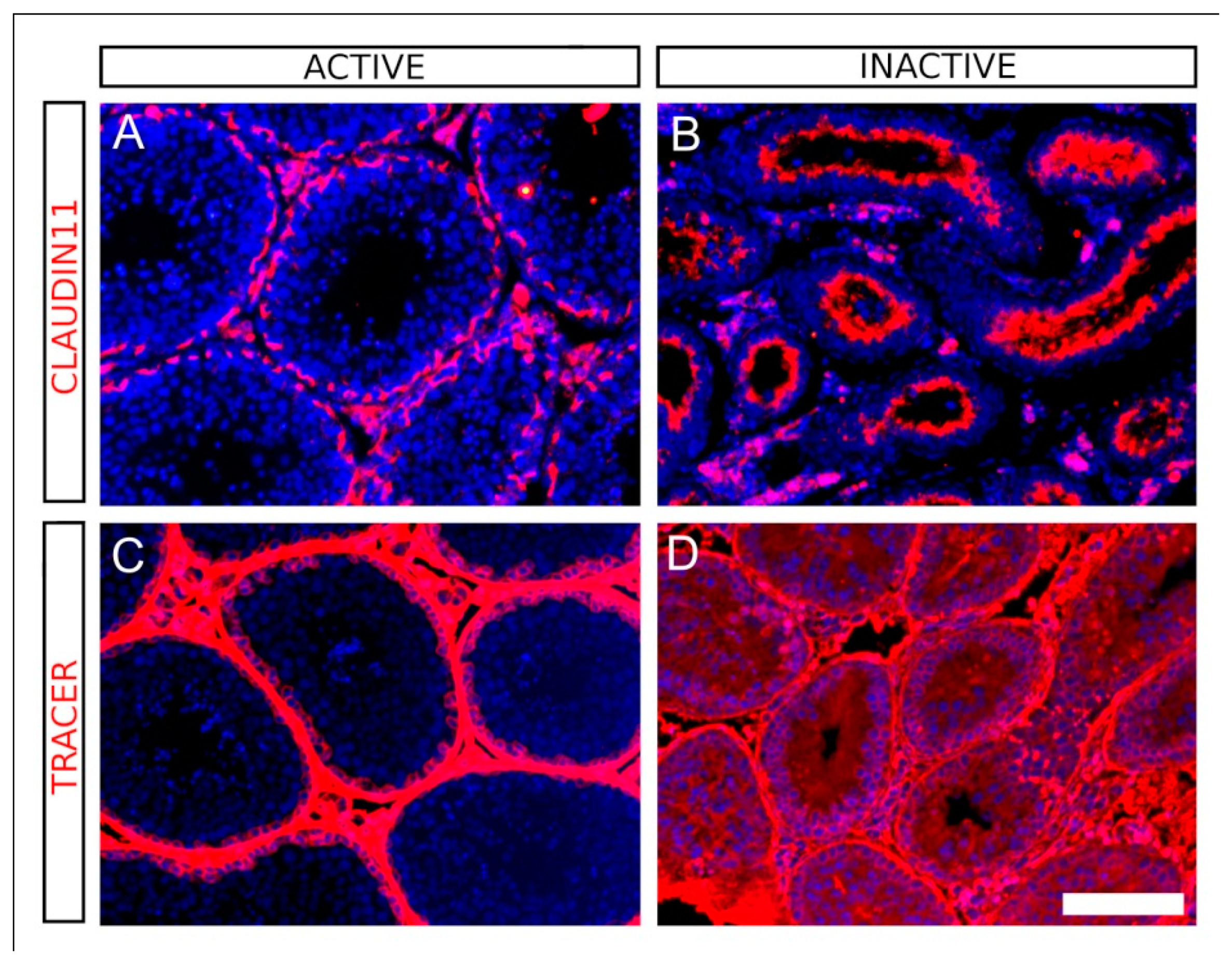 Animals 11 01639 g003 Animals 11 01639 g003