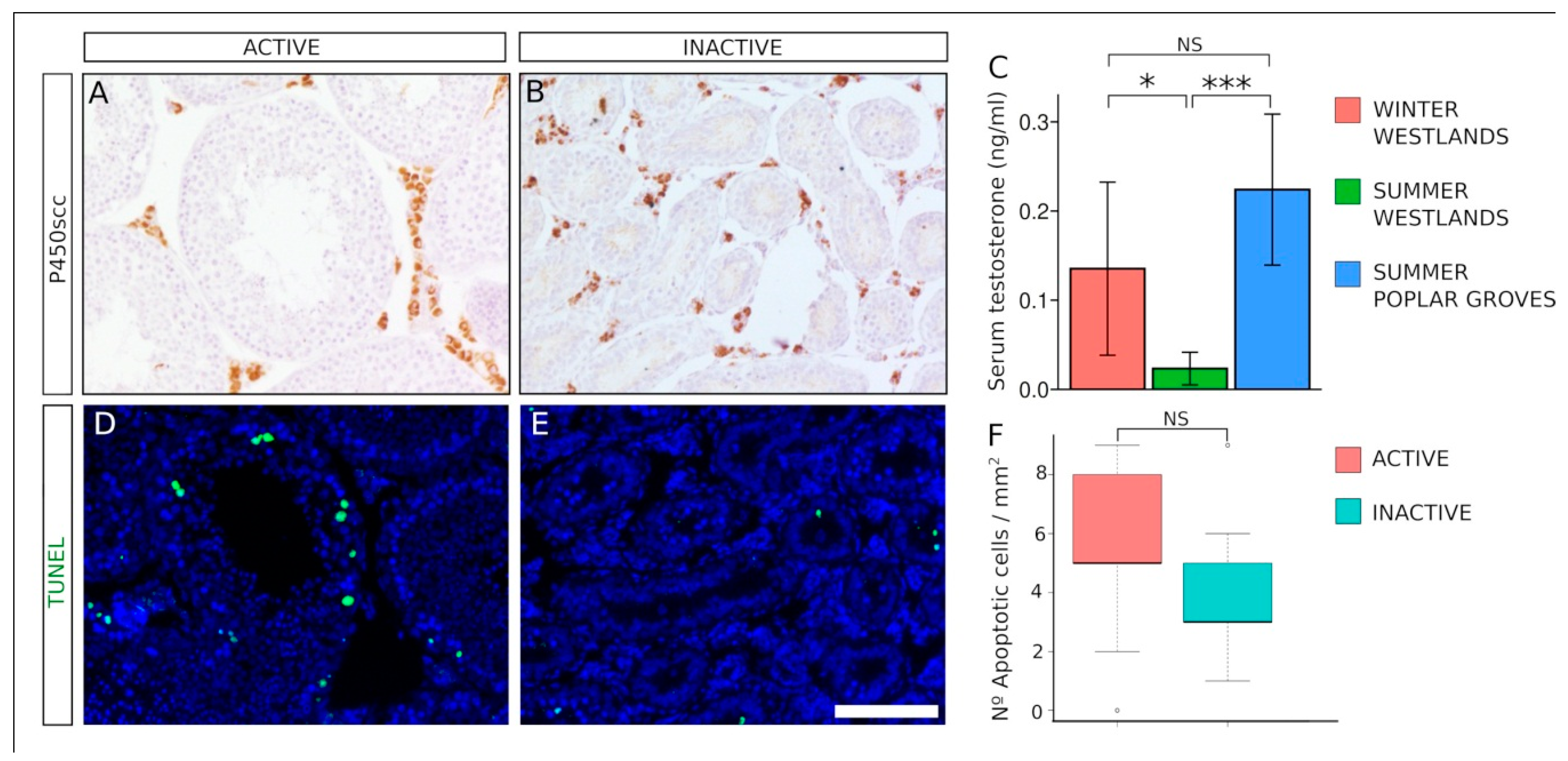 Animals 11 01639 g004 Animals 11 01639 g004