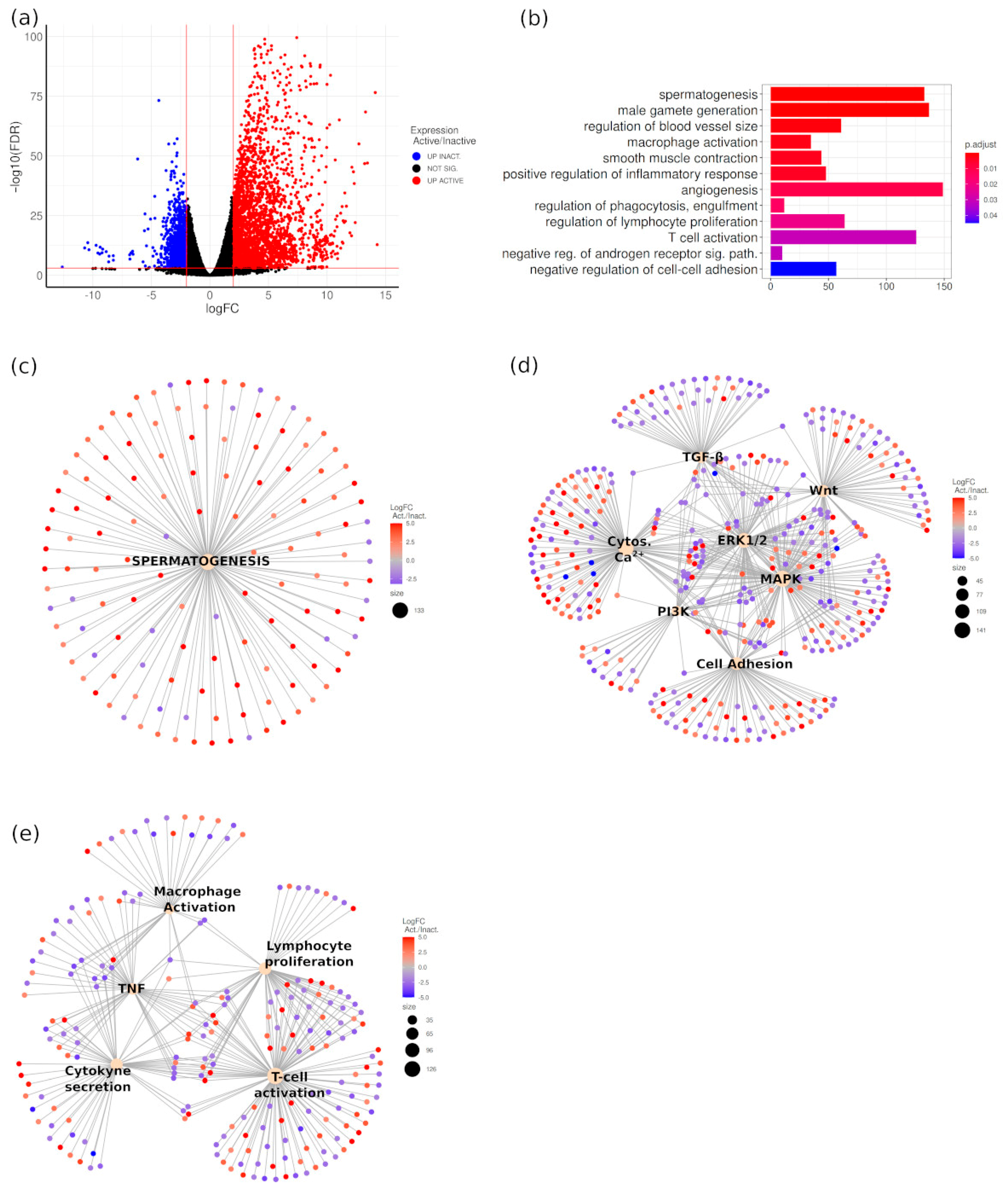 Animals 11 01639 g005 Animals 11 01639 g005