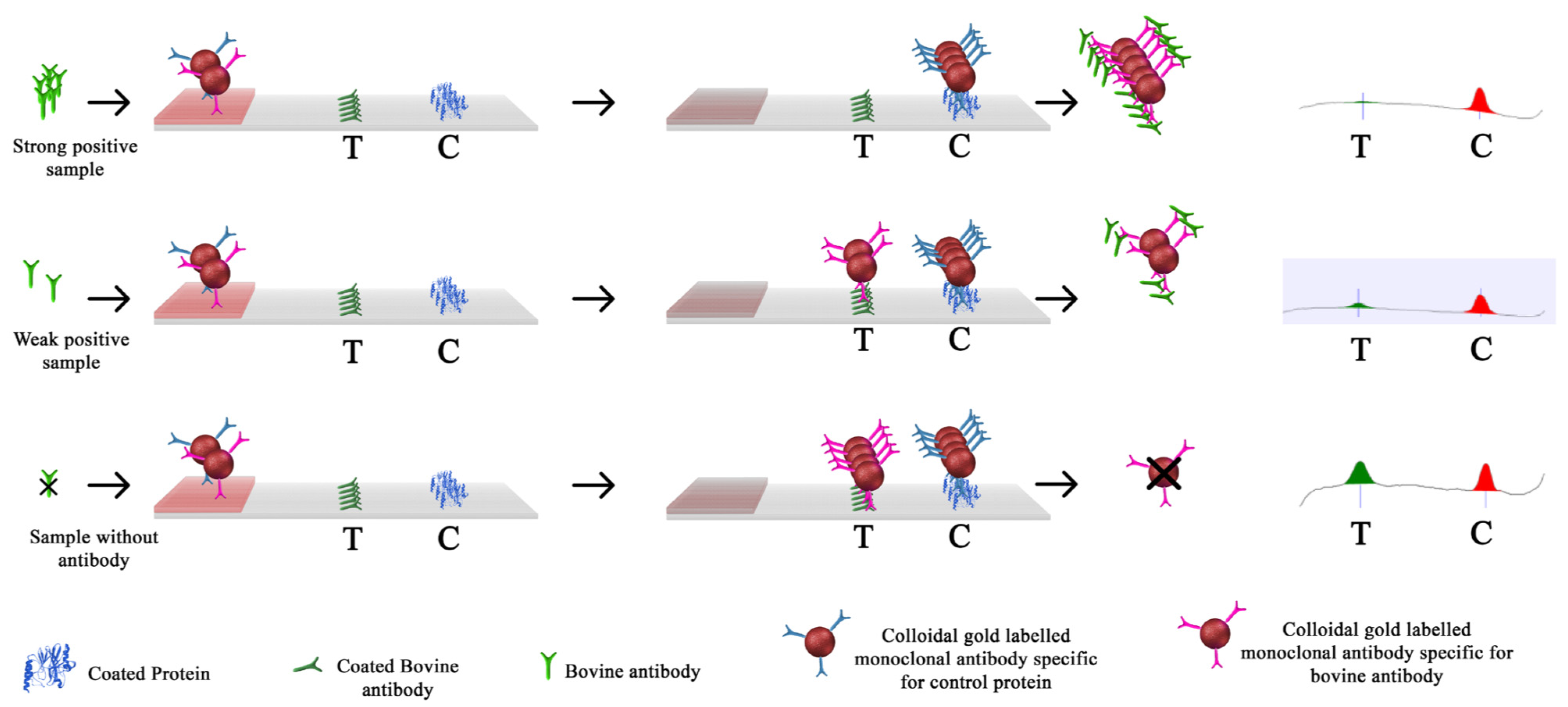 Animals 11 01641 g001 Animals 11 01641 g001