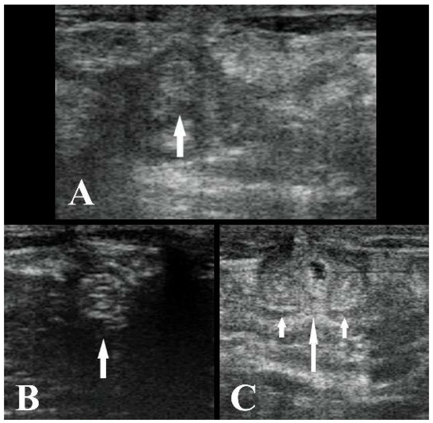 Animals 11 01650 g002