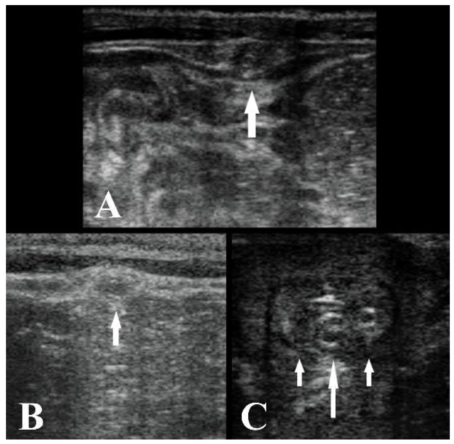 Animals 11 01650 g003