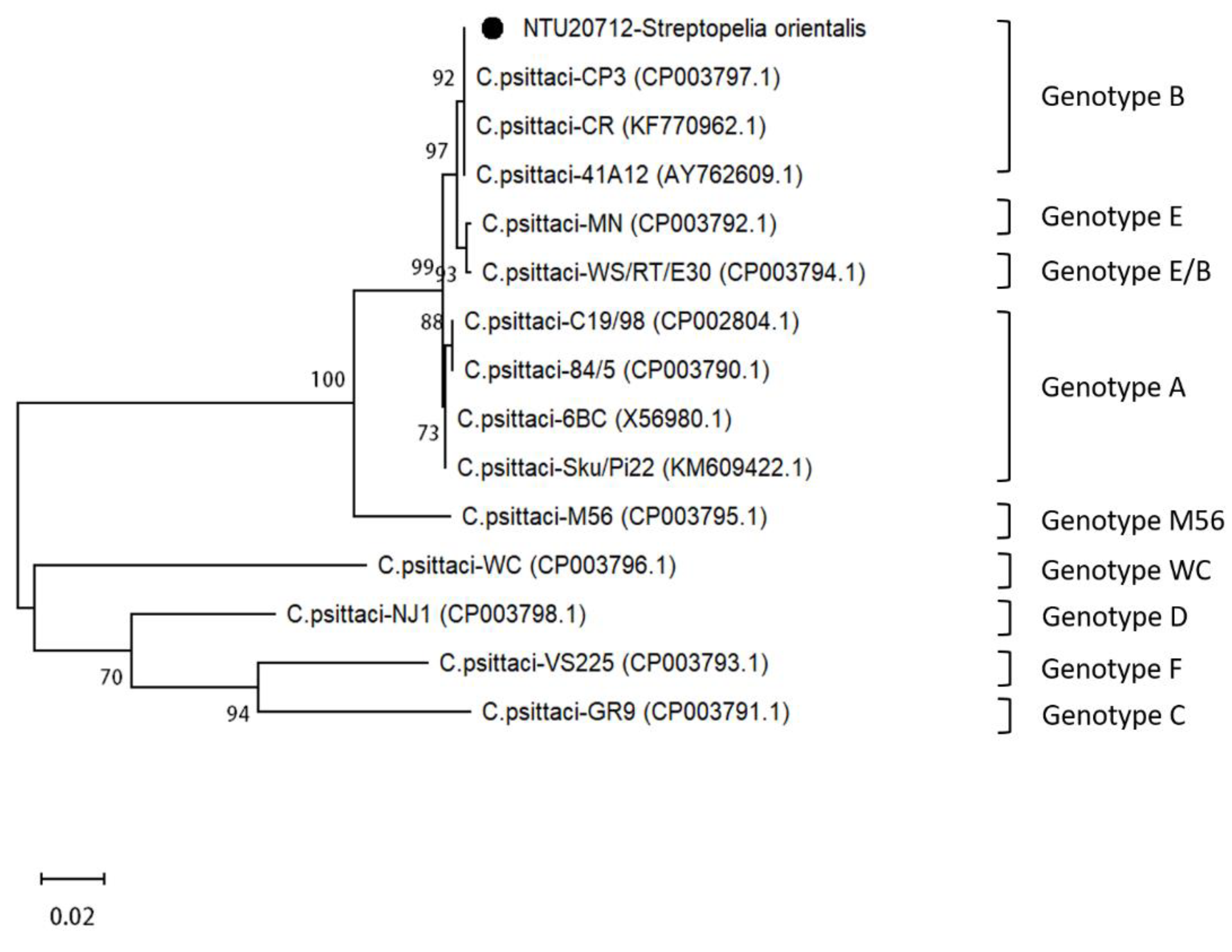 Animals 11 01654 g004 Animals 11 01654 g004