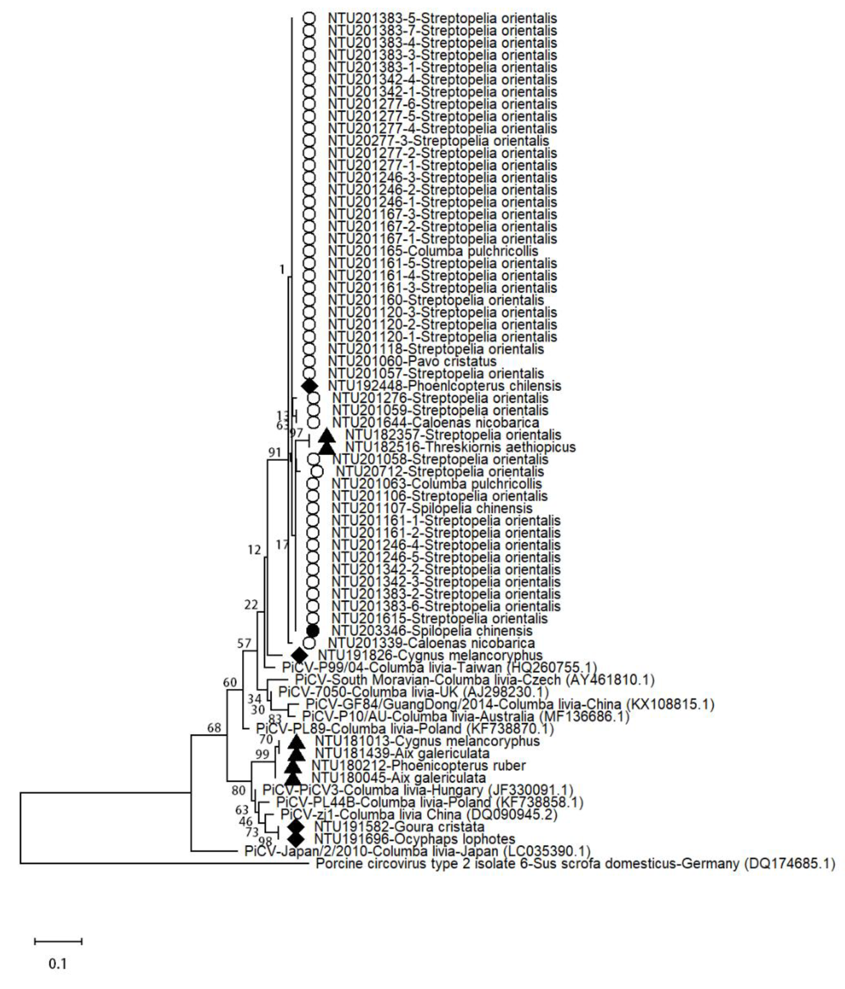 Animals 11 01654 g005 Animals 11 01654 g005