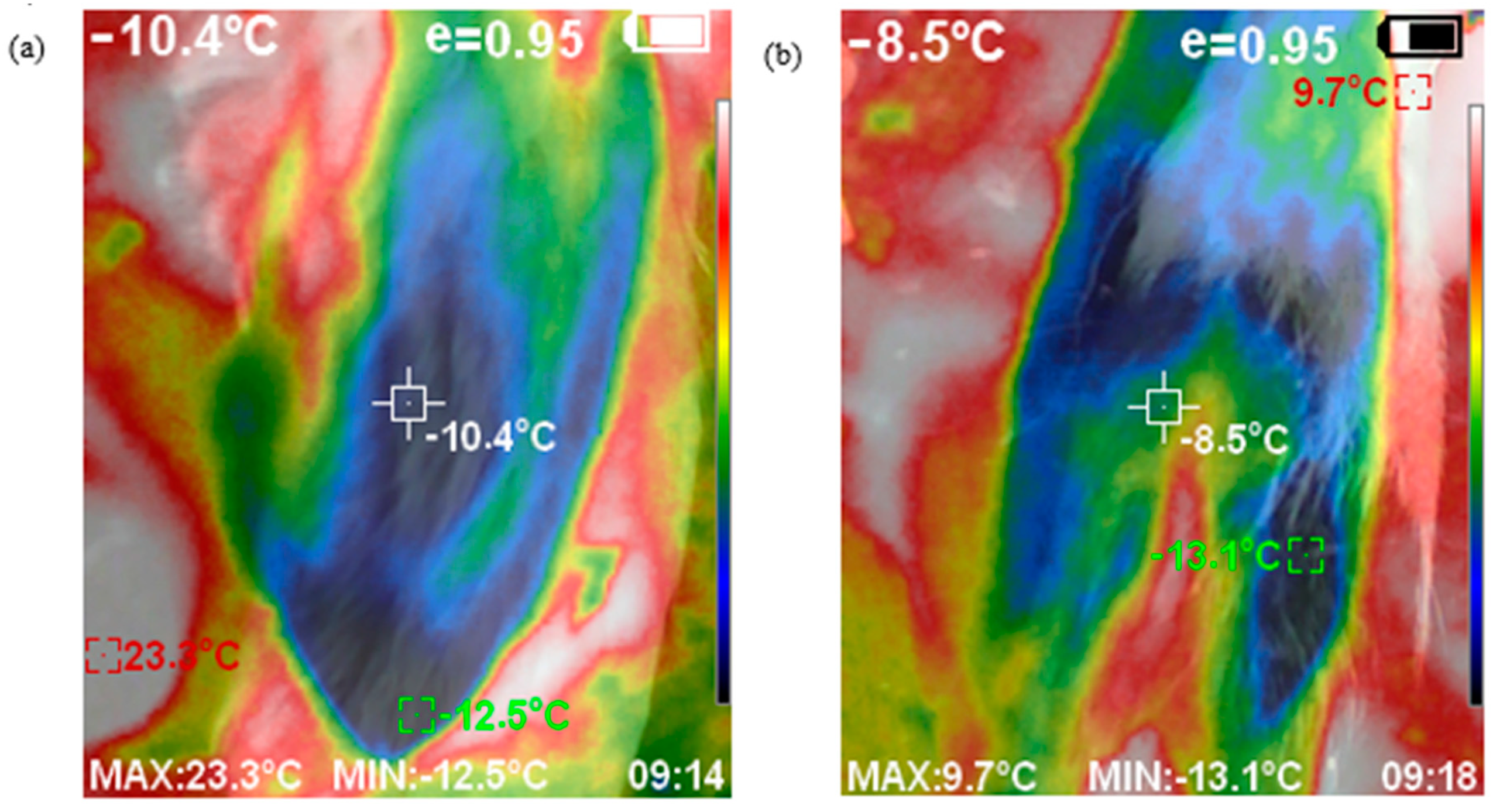 Animals 11 01659 g001