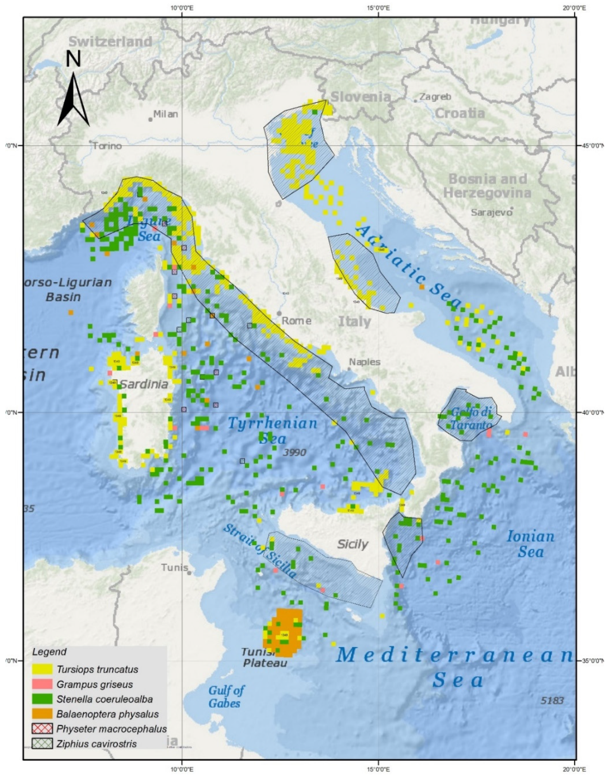 Animals 11 01663 g001 Animals 11 01663 g001