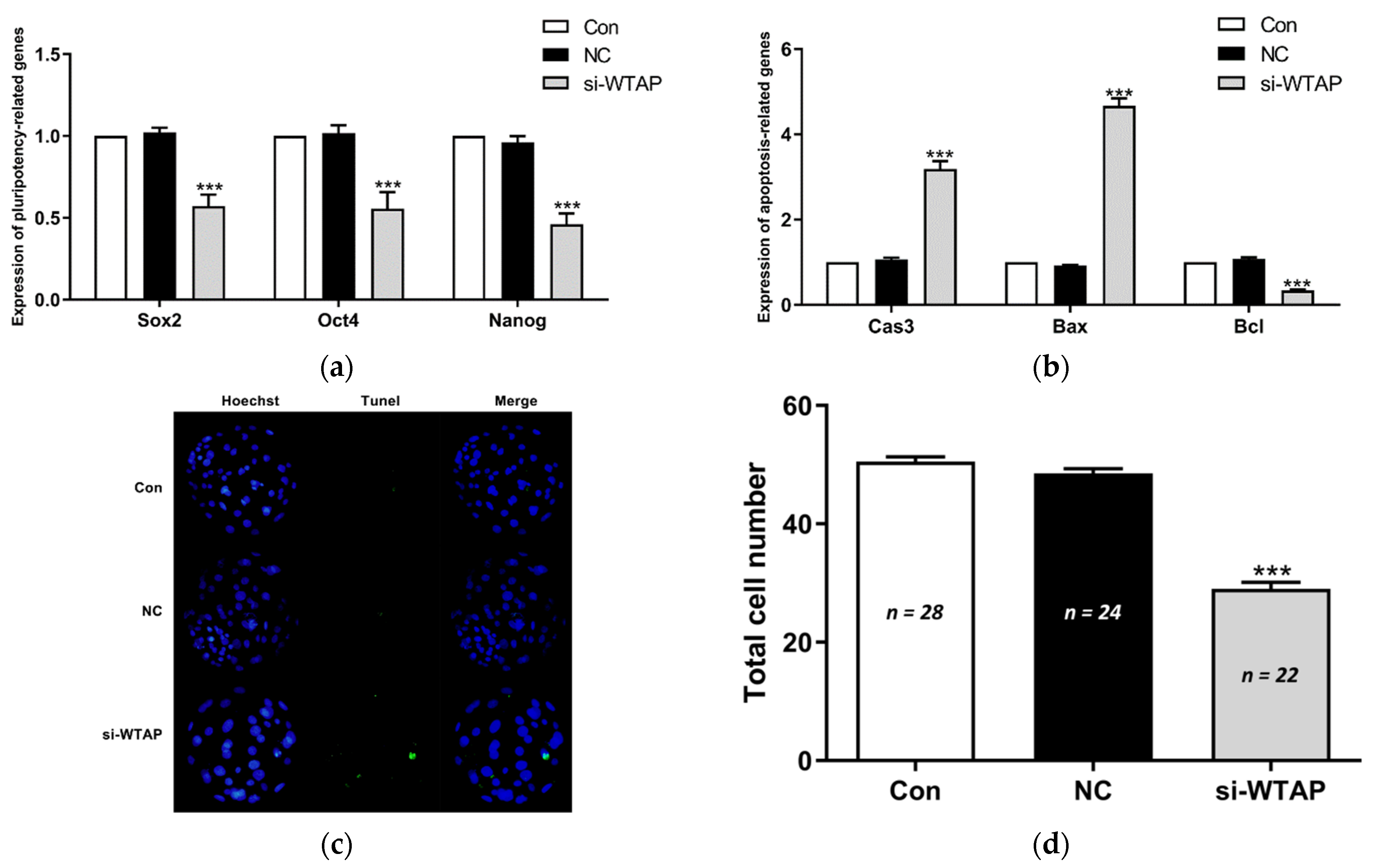 Animals 11 01675 g003 Animals 11 01675 g003