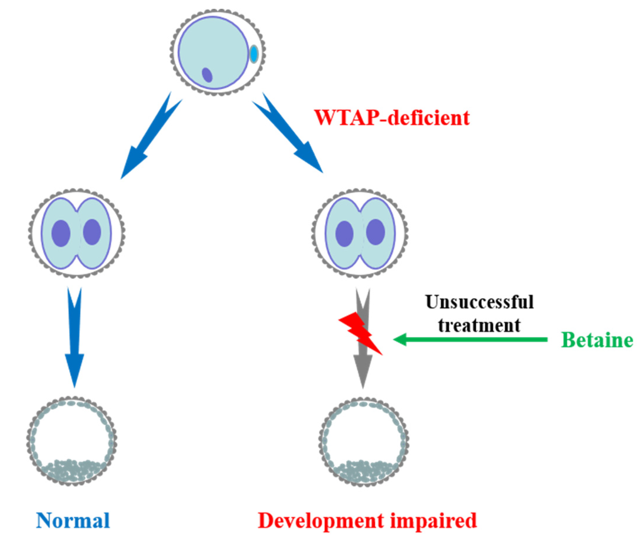 Animals 11 01675 g004 Animals 11 01675 g004