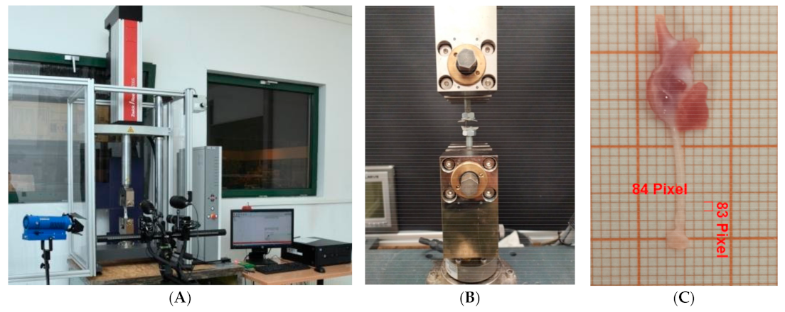 Animals 11 01678 g001