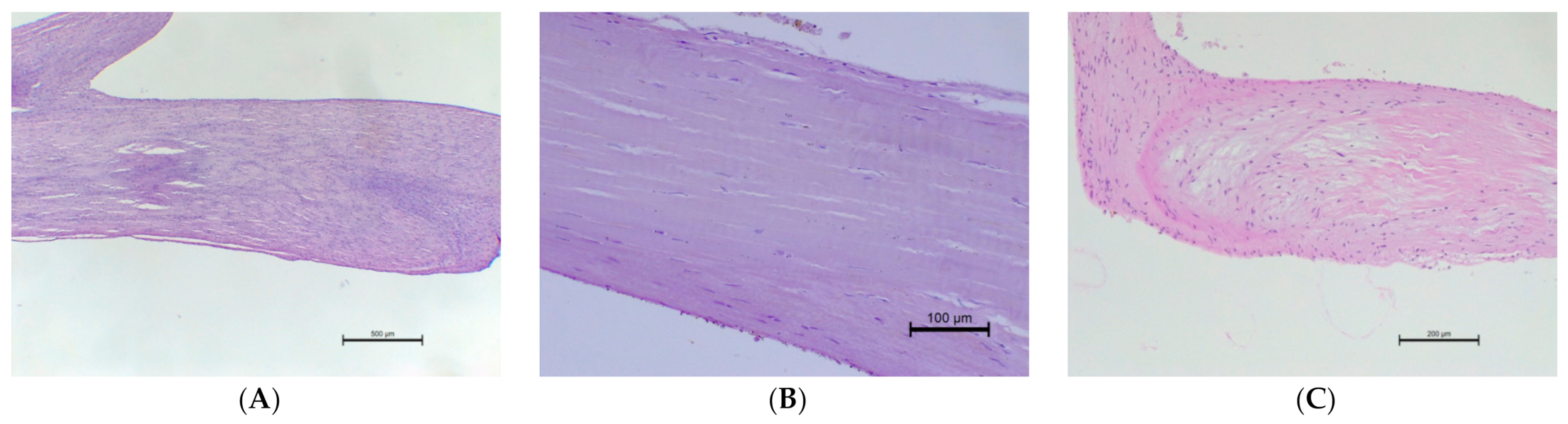 Animals 11 01678 g005