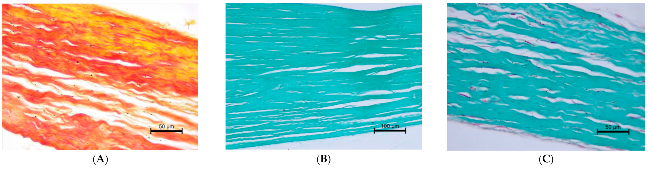 Animals 11 01678 g008