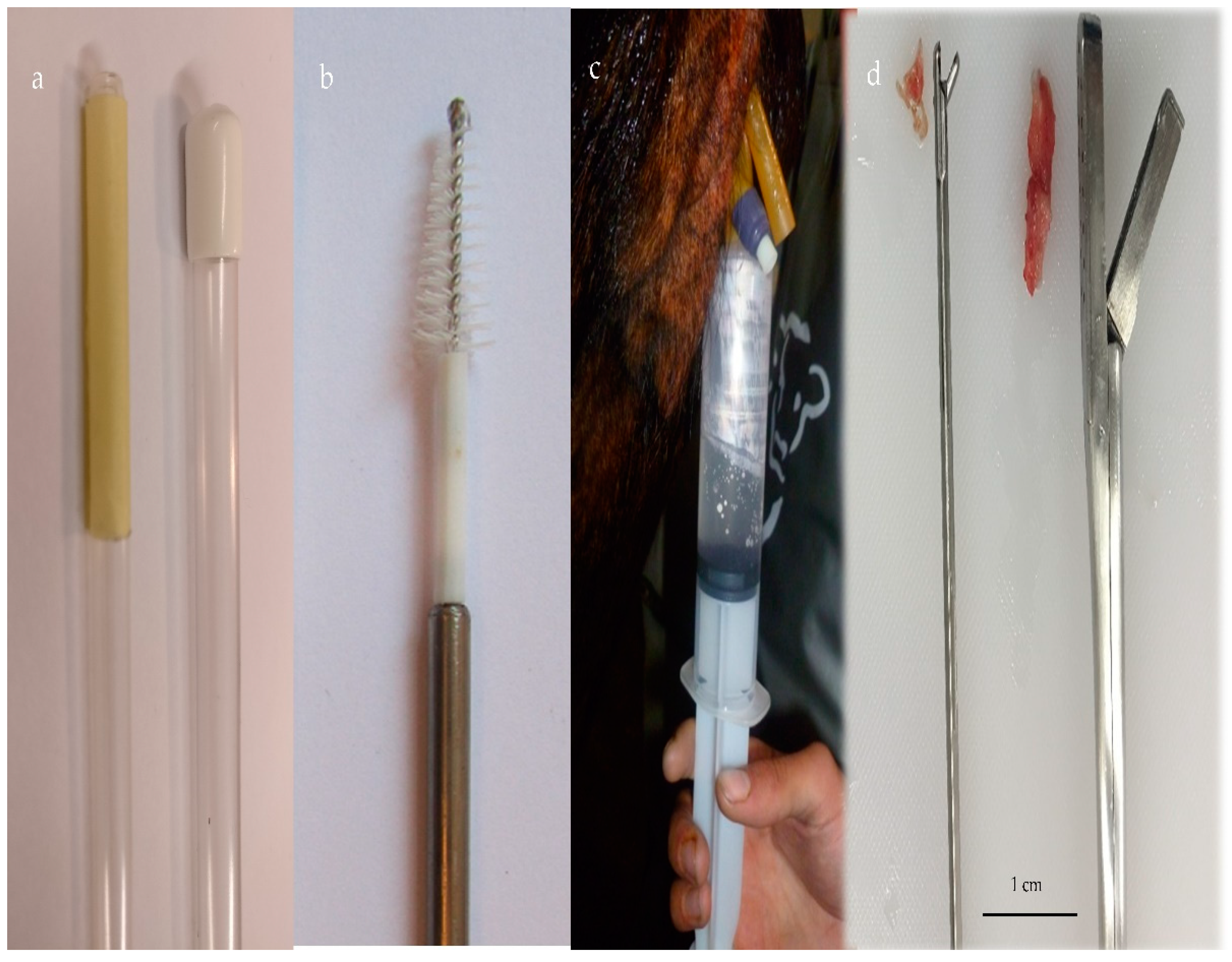 Animals 11 01683 g001 Animals 11 01683 g001