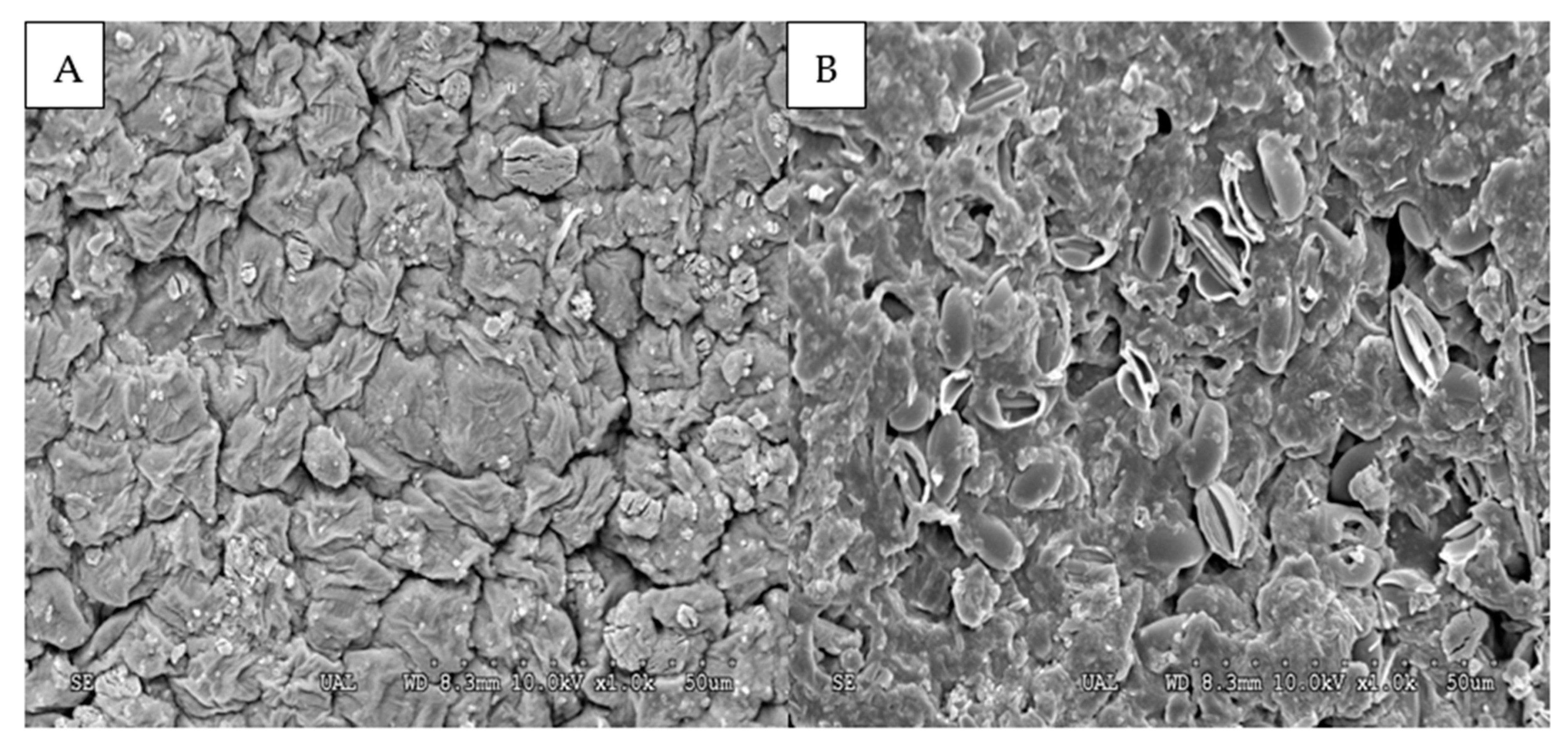 Animals 11 01684 g002