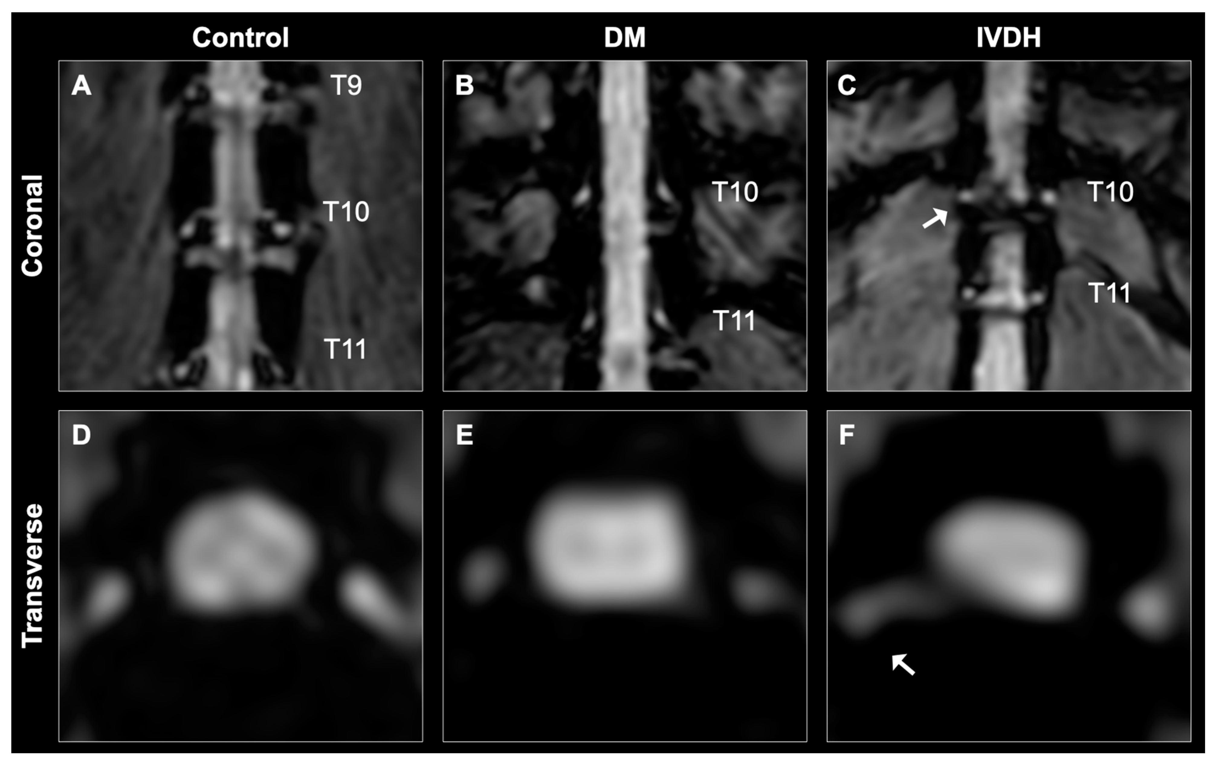 Animals 11 01702 g002 Animals 11 01702 g002