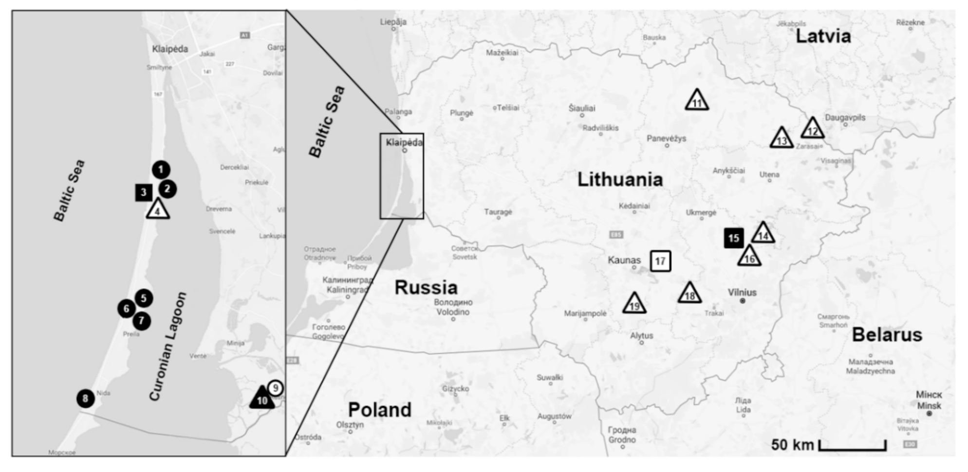 Animals 11 01707 g001 Animals 11 01707 g001