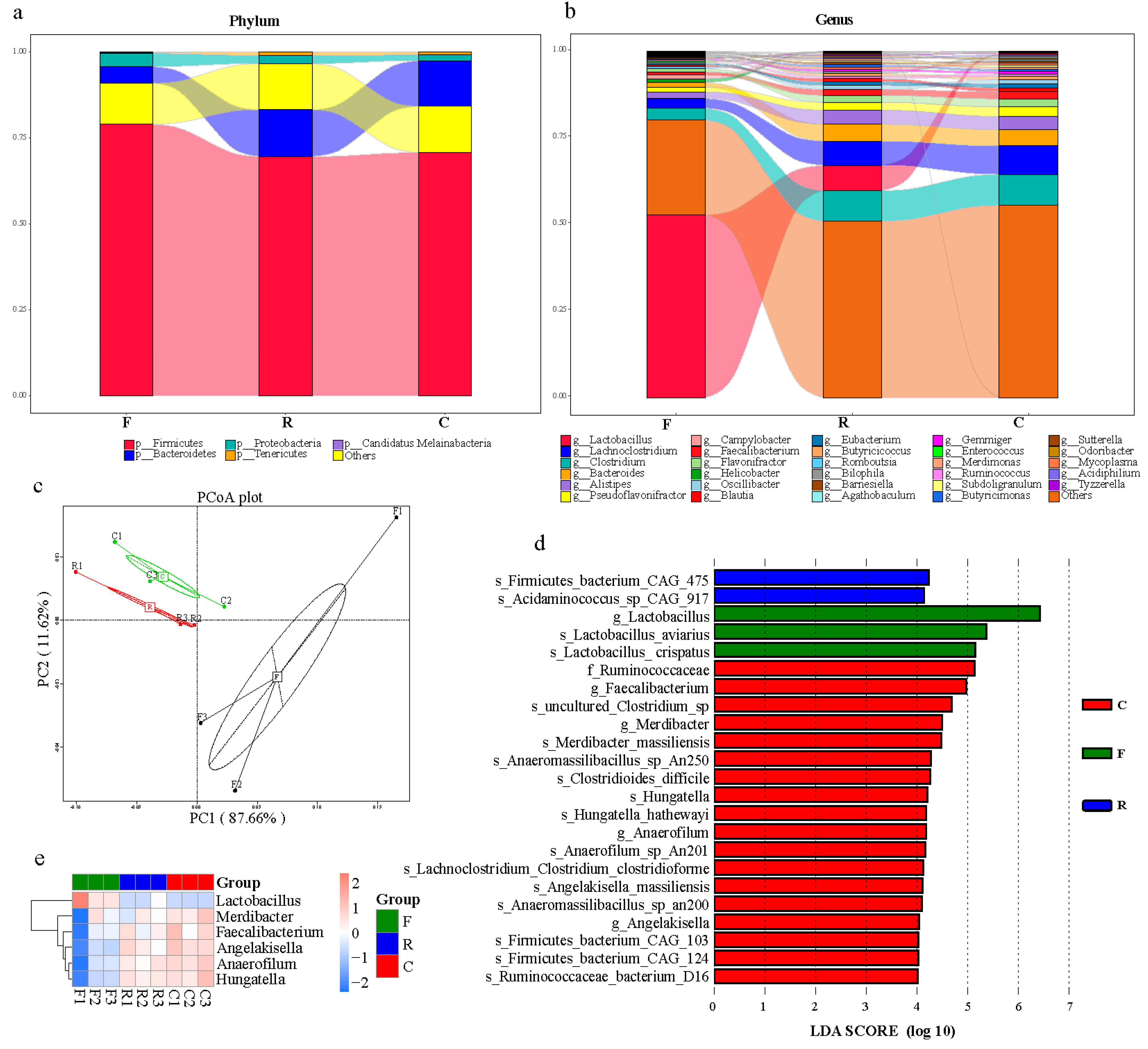 Animals 11 01718 g001