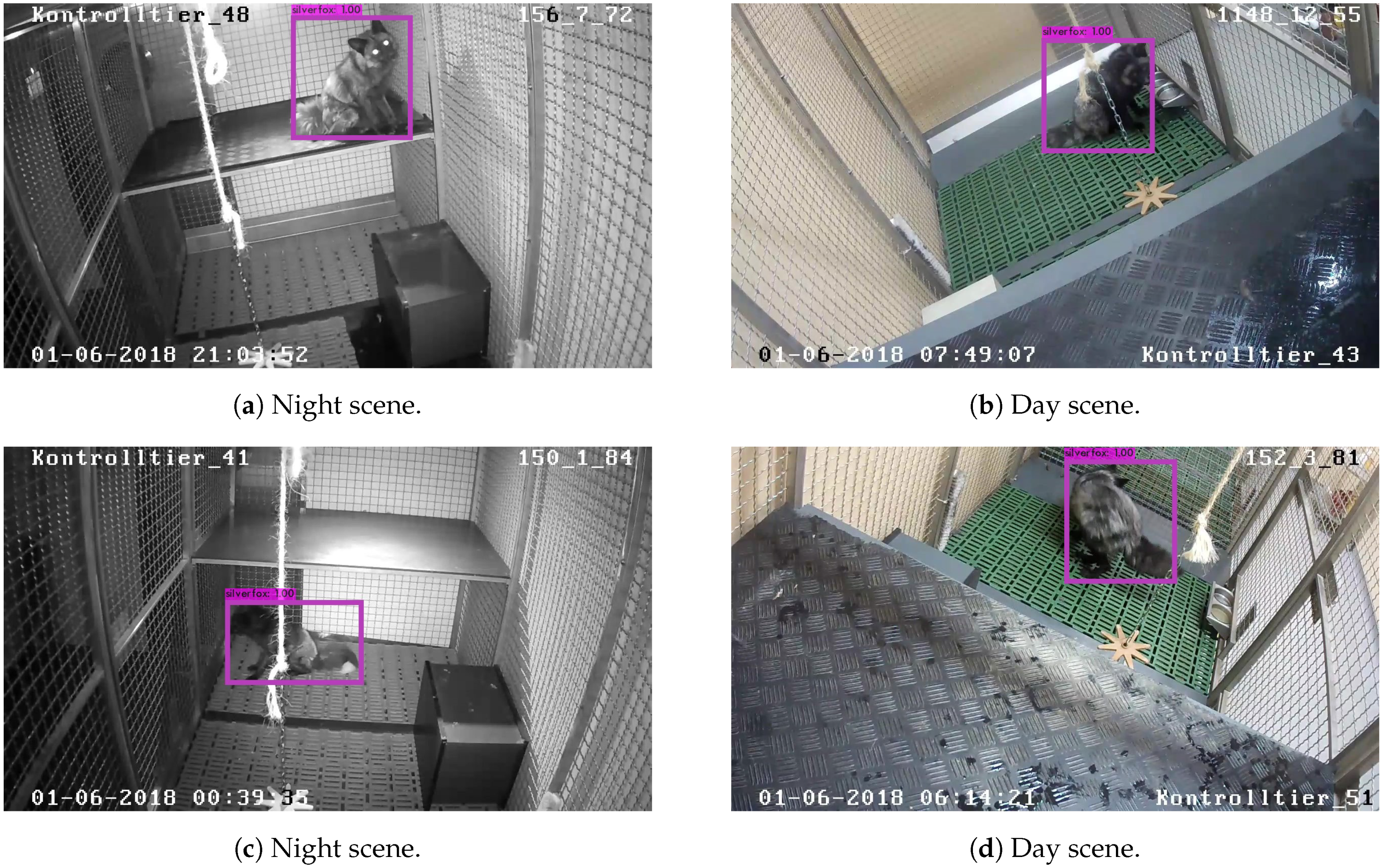 Animals 11 01723 g005 Animals 11 01723 g005