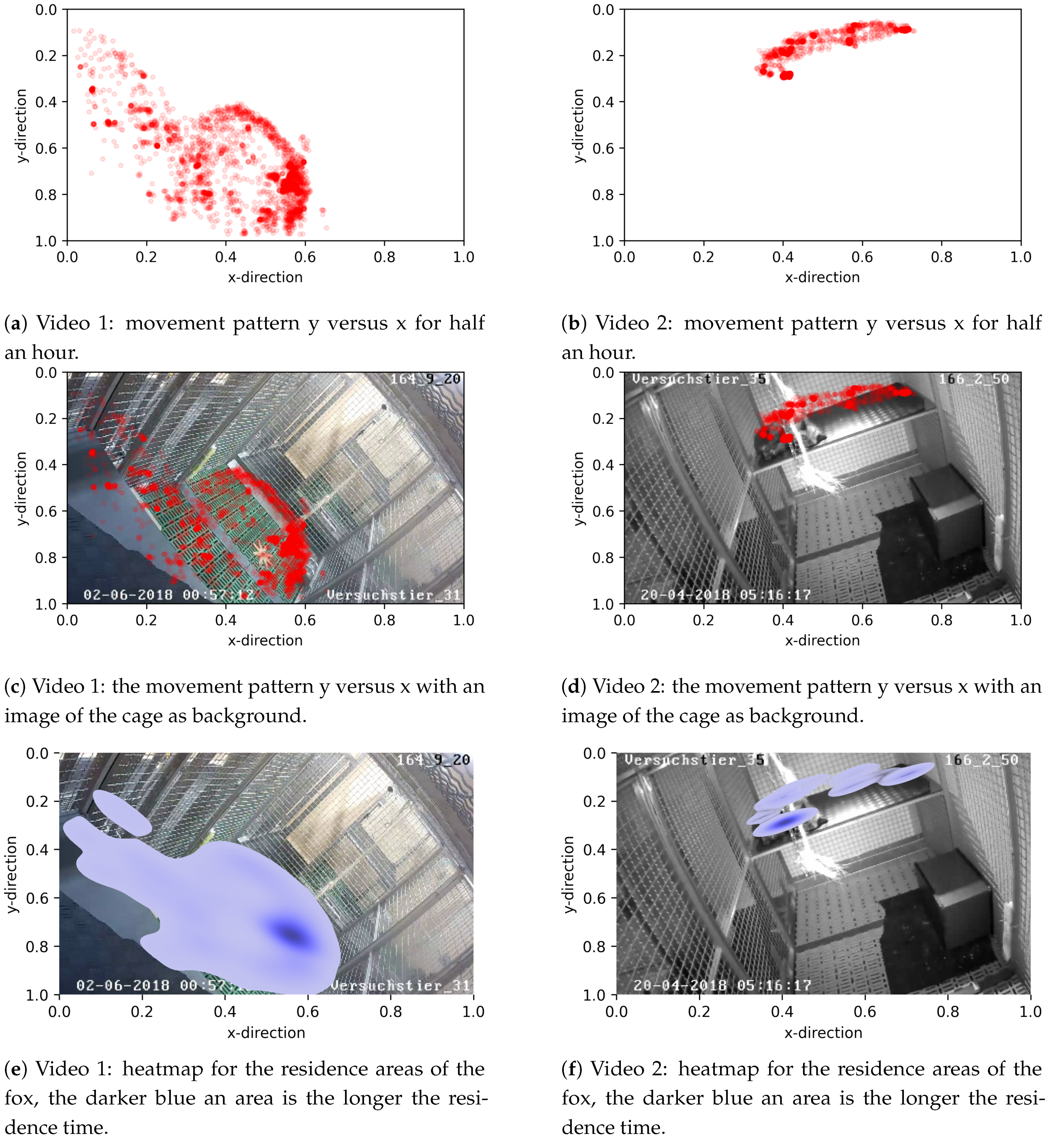 Animals 11 01723 g006 Animals 11 01723 g006