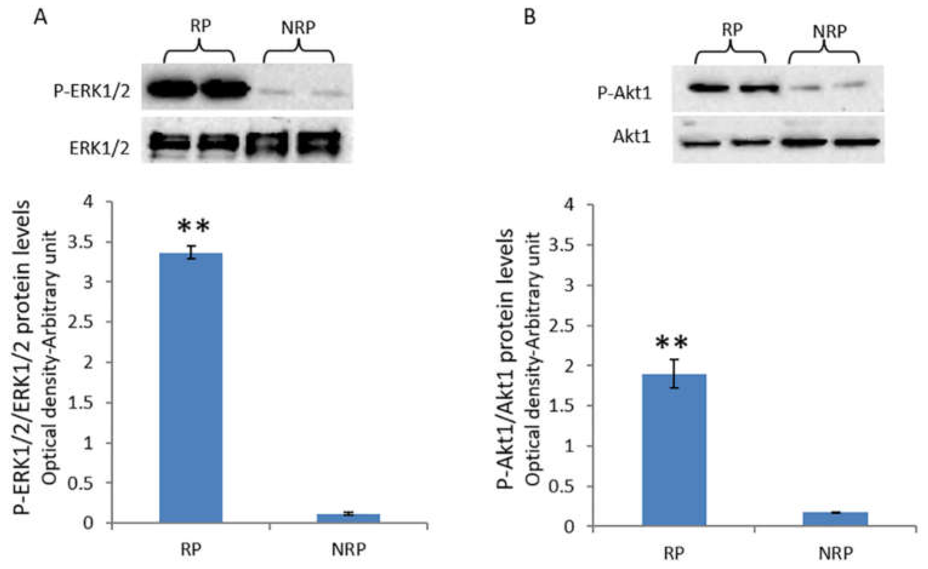 Animals 11 01729 g002 Animals 11 01729 g002