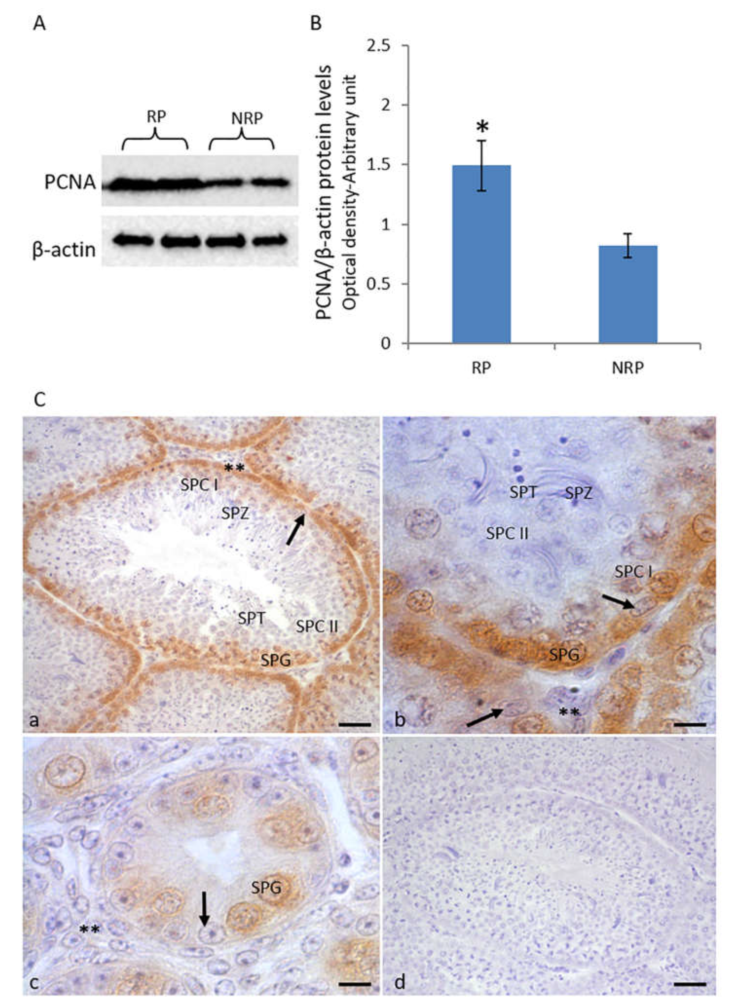 Animals 11 01729 g003 Animals 11 01729 g003