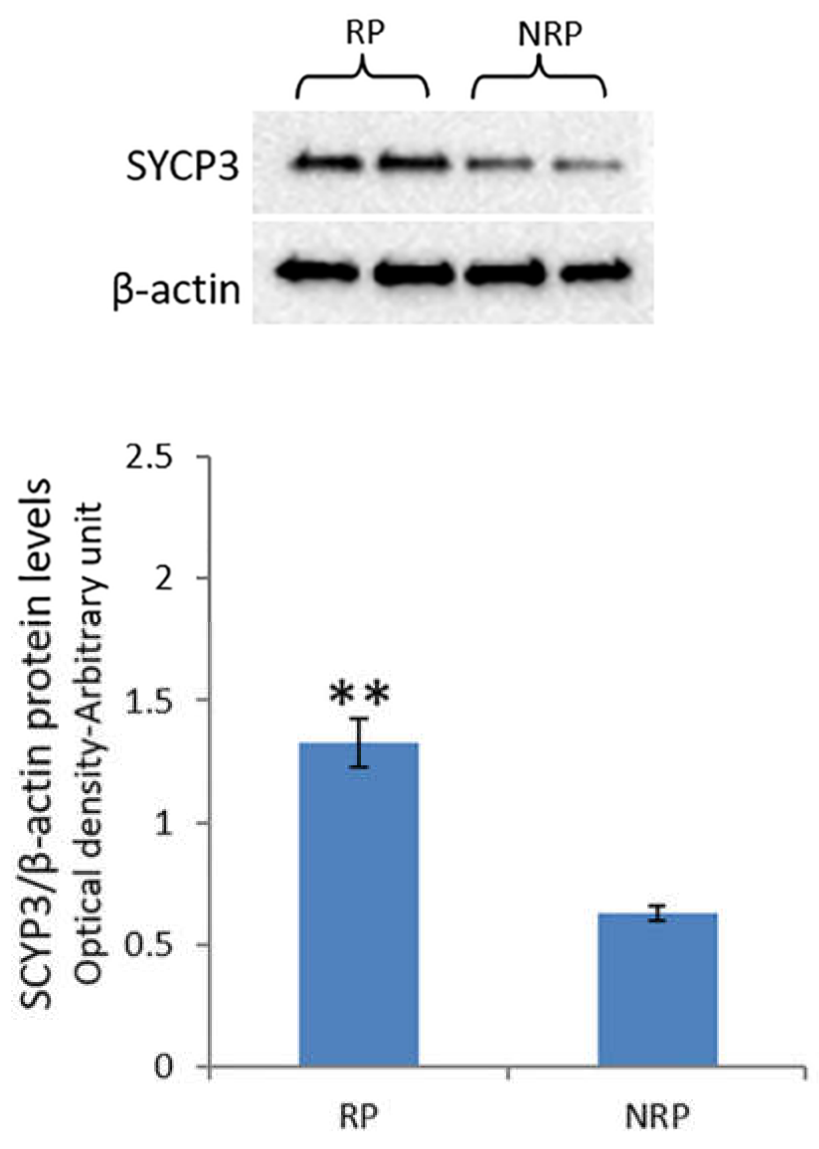 Animals 11 01729 g004 Animals 11 01729 g004